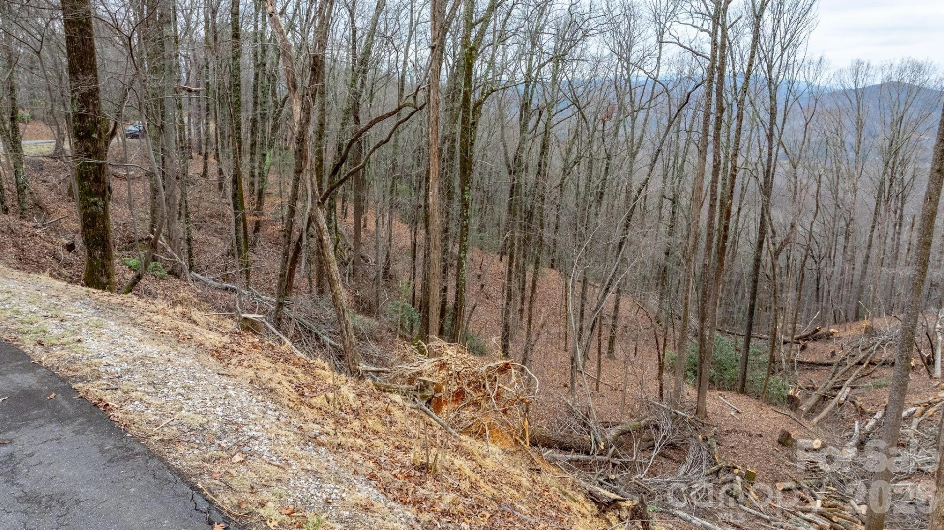 0 Mountain Crest Drive #39 - Photo 12