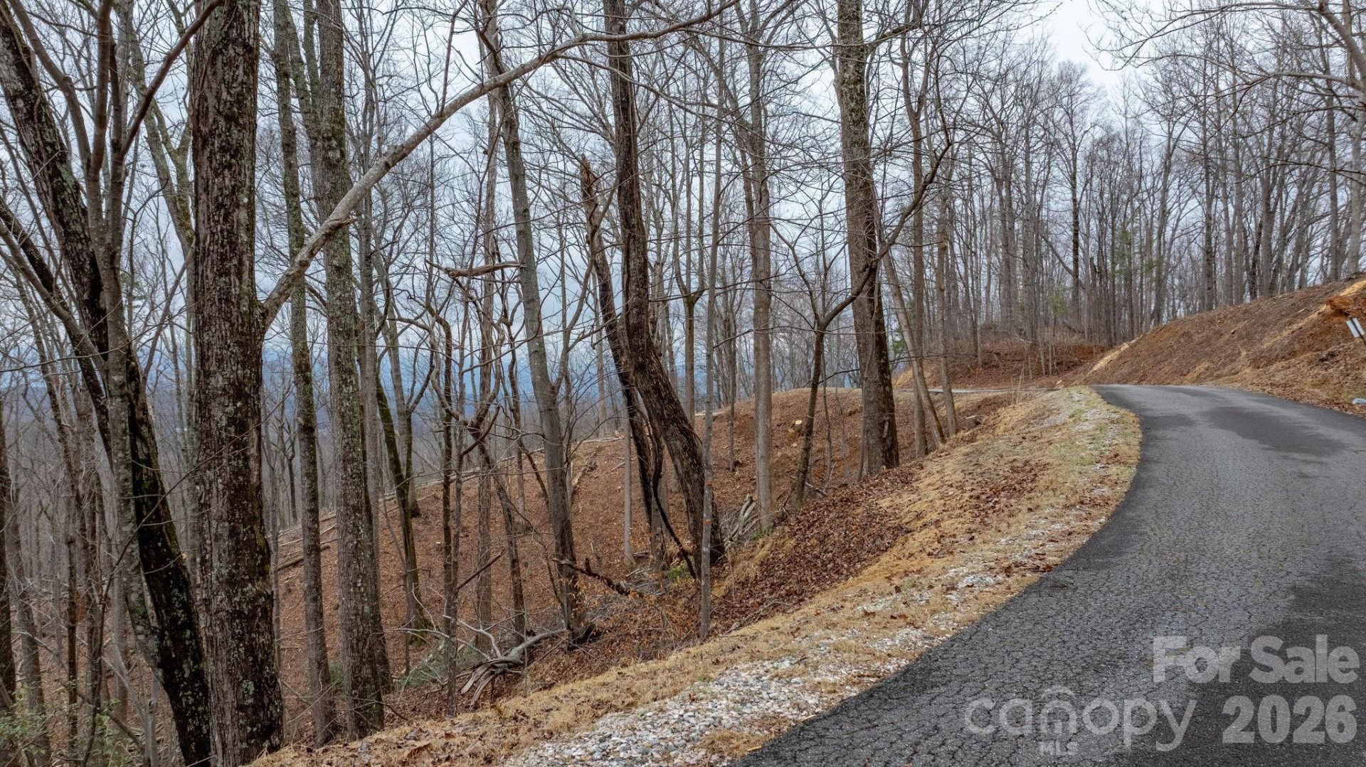 0 Mountain Crest Drive #39 - Photo 3