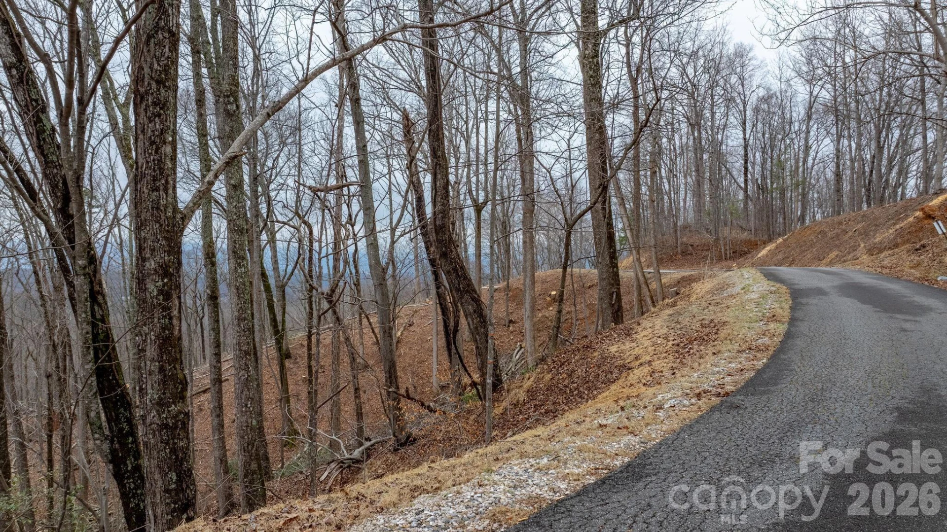 0 Mountain Crest Drive #39 - Photo 3