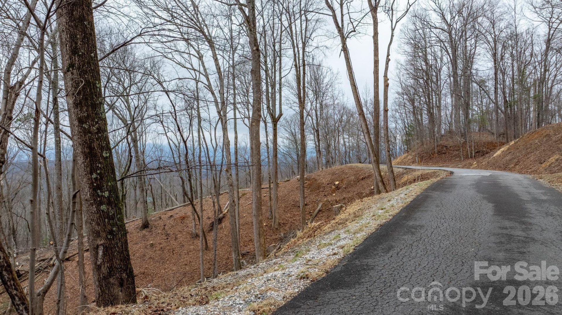 0 Mountain Crest Drive #39 - Photo 4