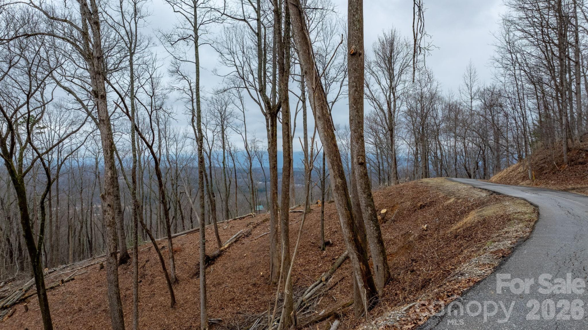 0 Mountain Crest Drive #39 - Photo 5