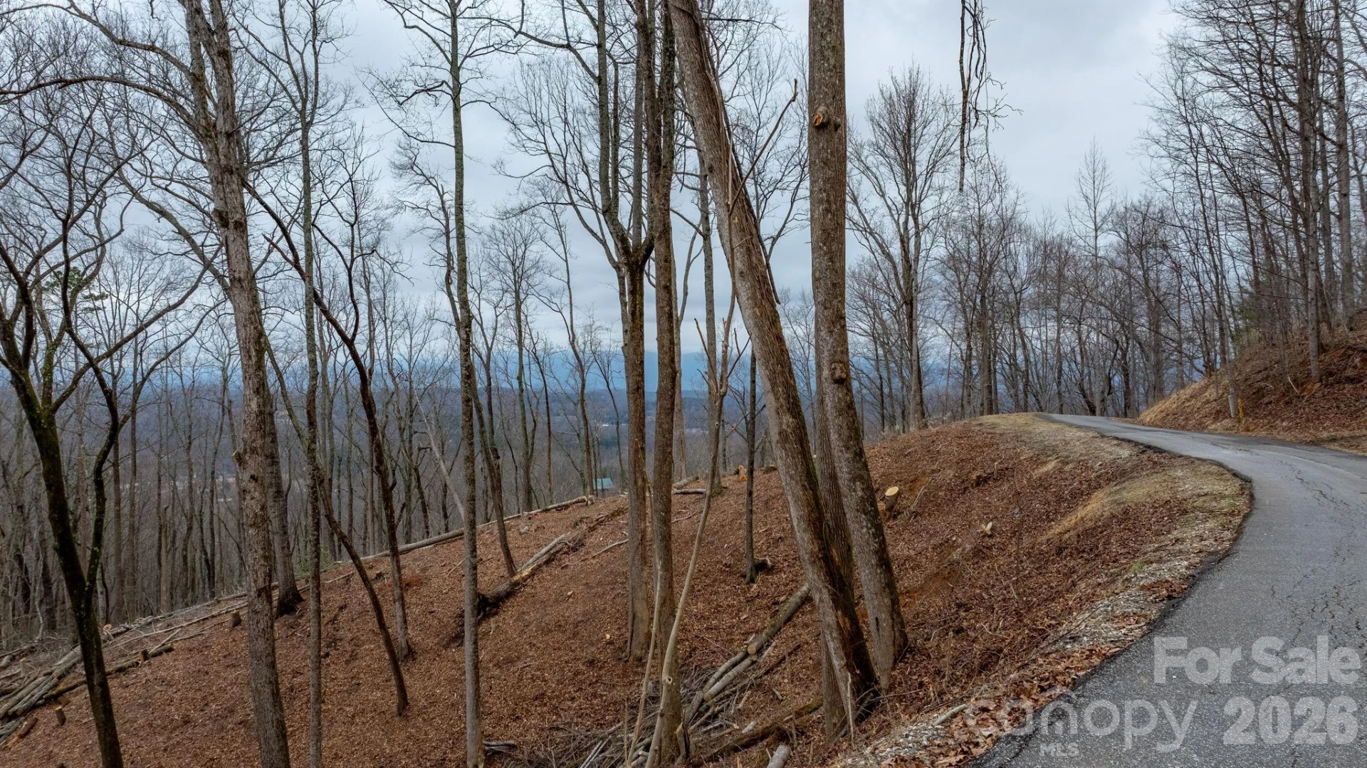 0 Mountain Crest Drive #39 - Photo 5