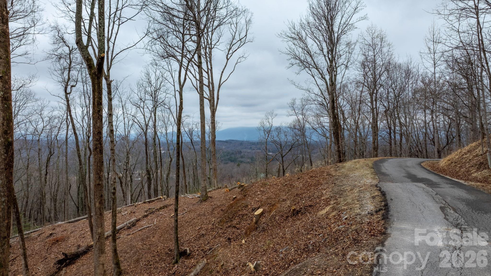 0 Mountain Crest Drive #39 - Photo 6