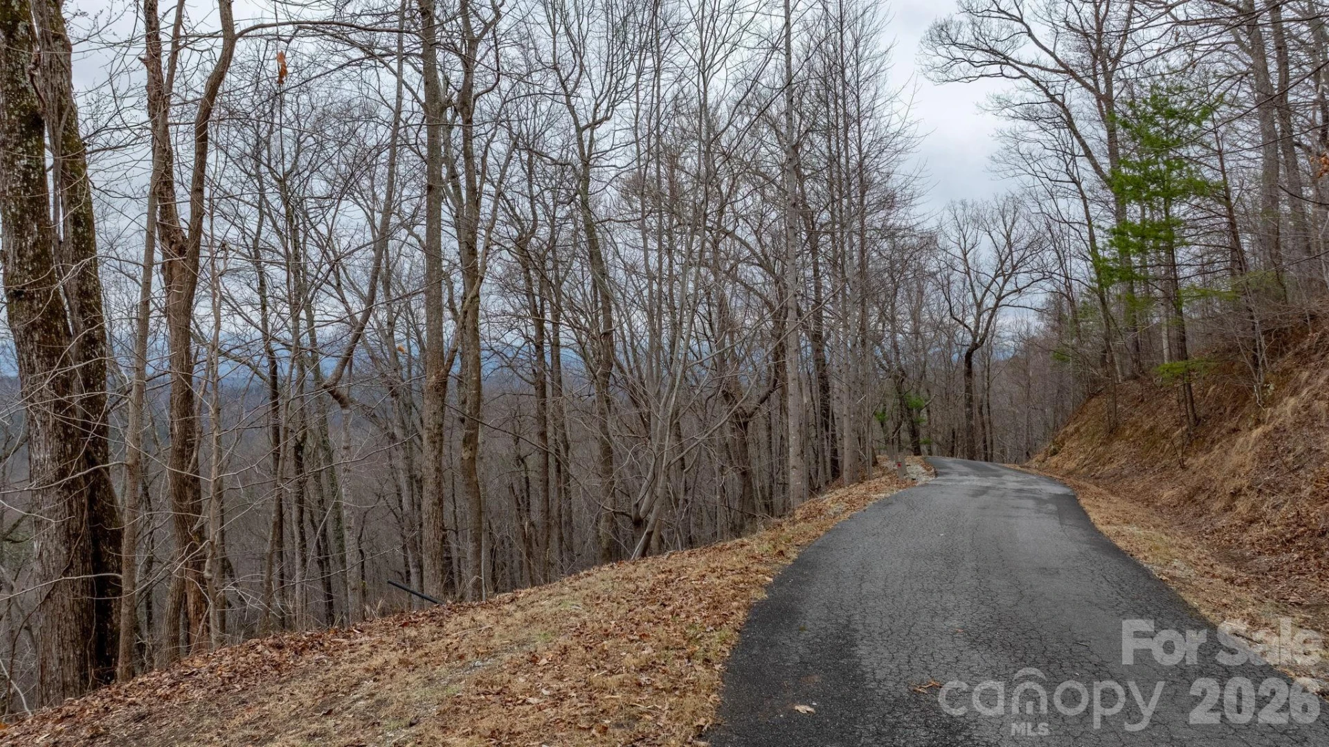 0 Mountain Crest Drive #39 - Photo 7