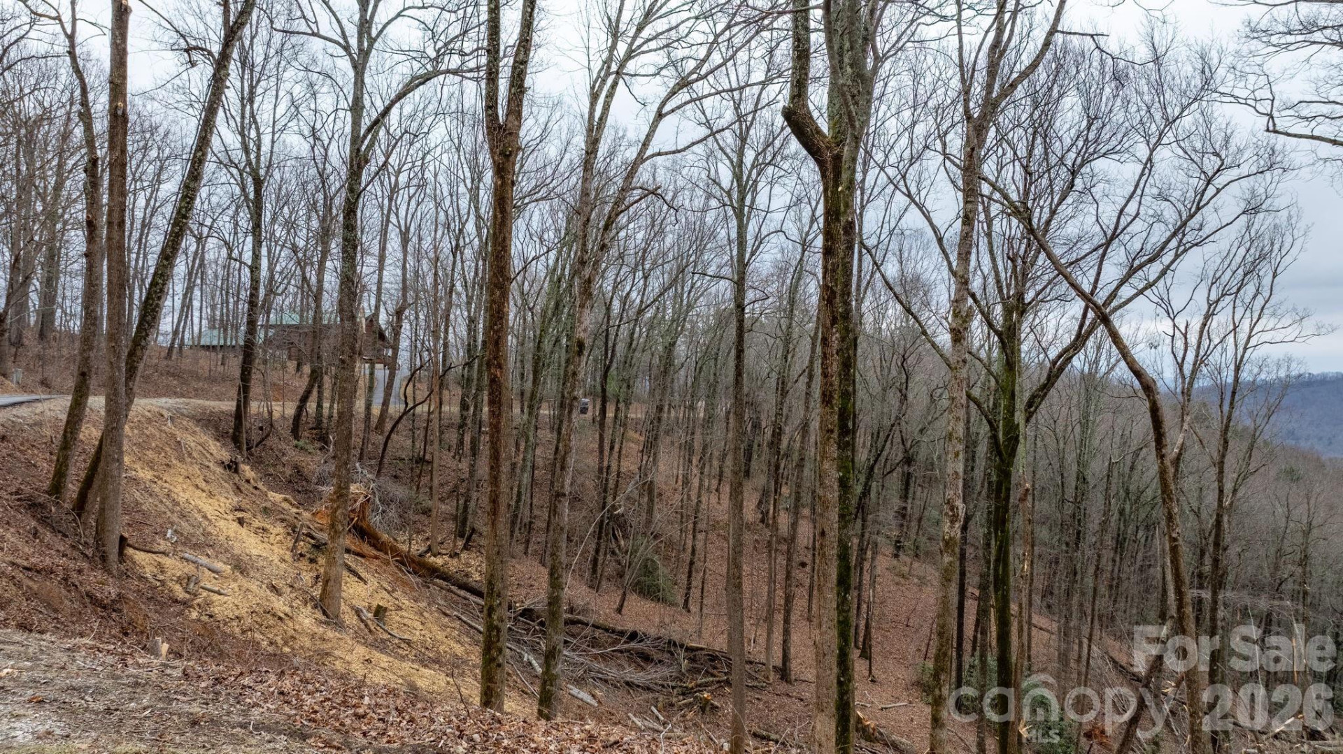 0 Mountain Crest Drive #39 - Photo 9