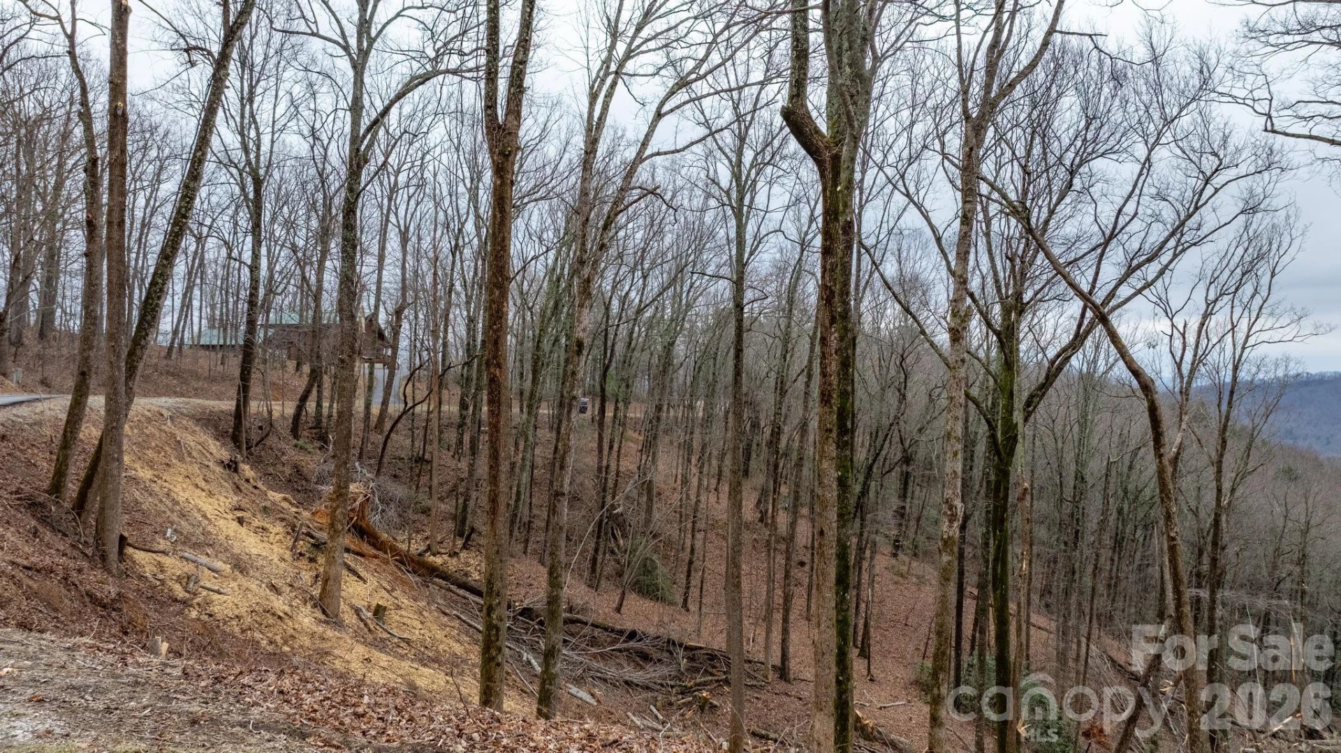 0 Mountain Crest Drive #39 - Photo 9