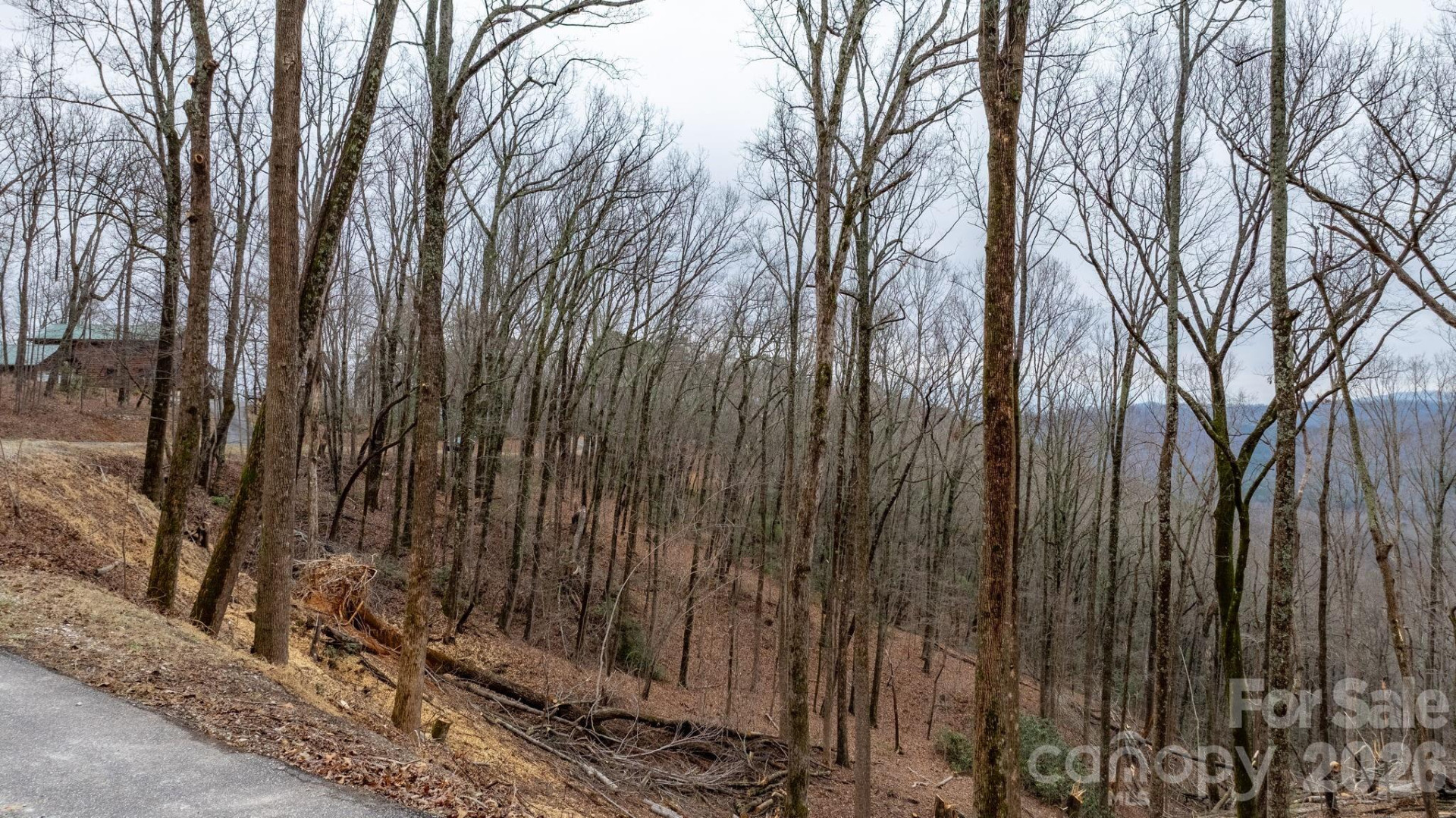 0 Mountain Crest Drive #39 - Photo 10