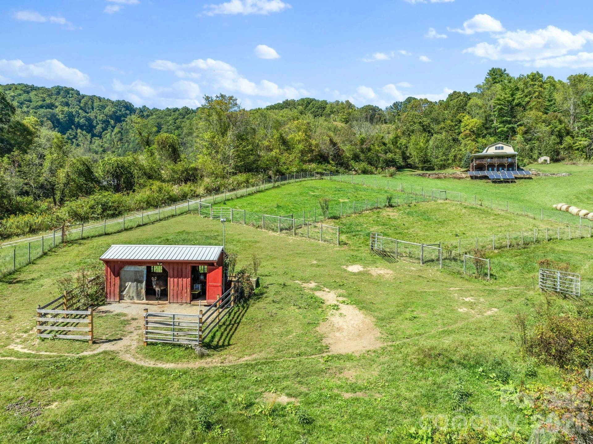 99 Quill Ammons Hollow - Photo 15