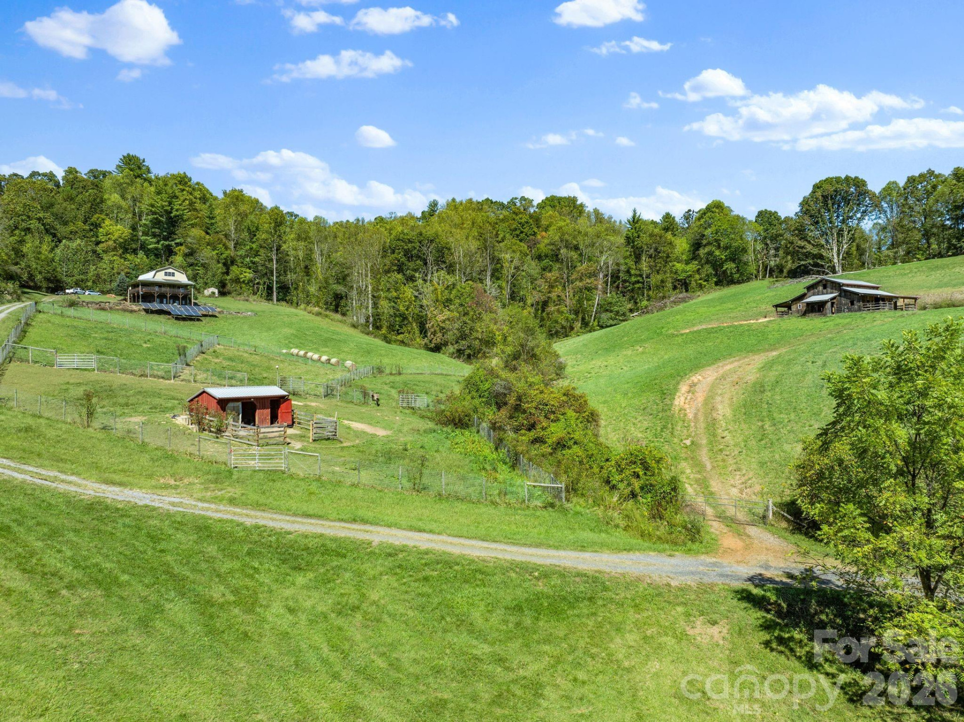 99 Quill Ammons Hollow - Photo 23