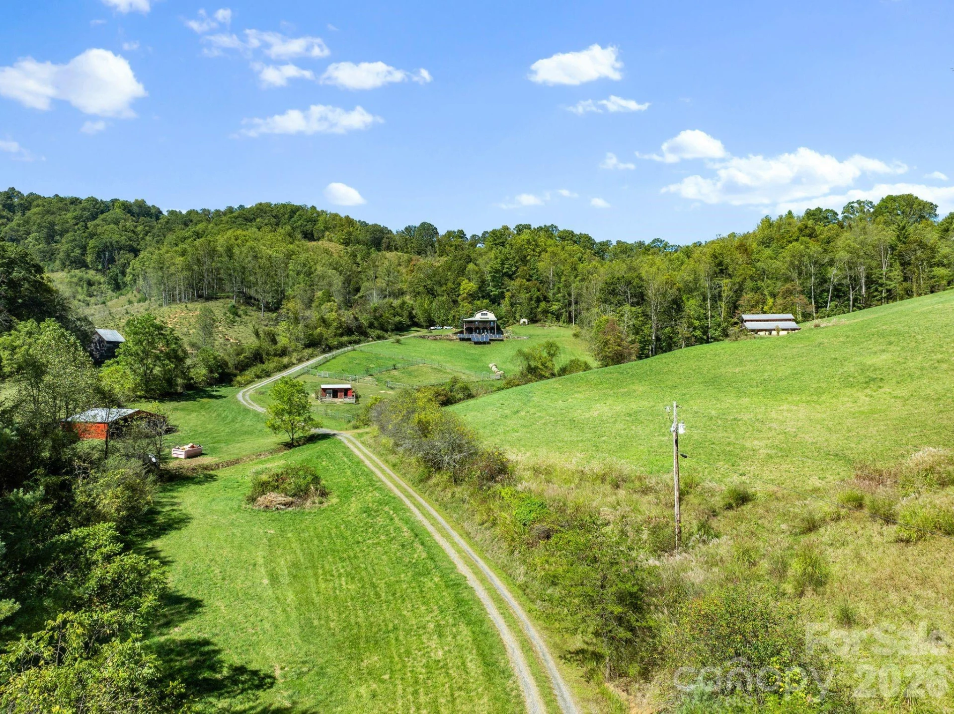 99 Quill Ammons Hollow - Photo 25