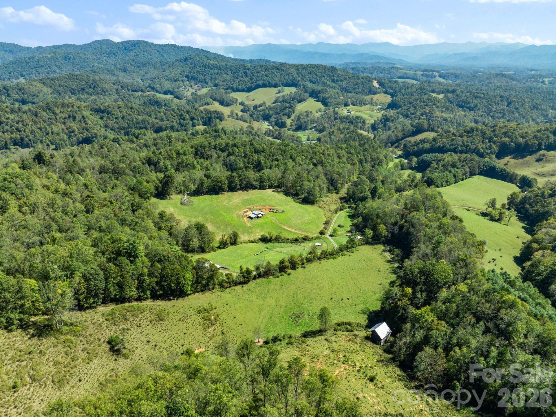99 Quill Ammons Hollow - Photo 4