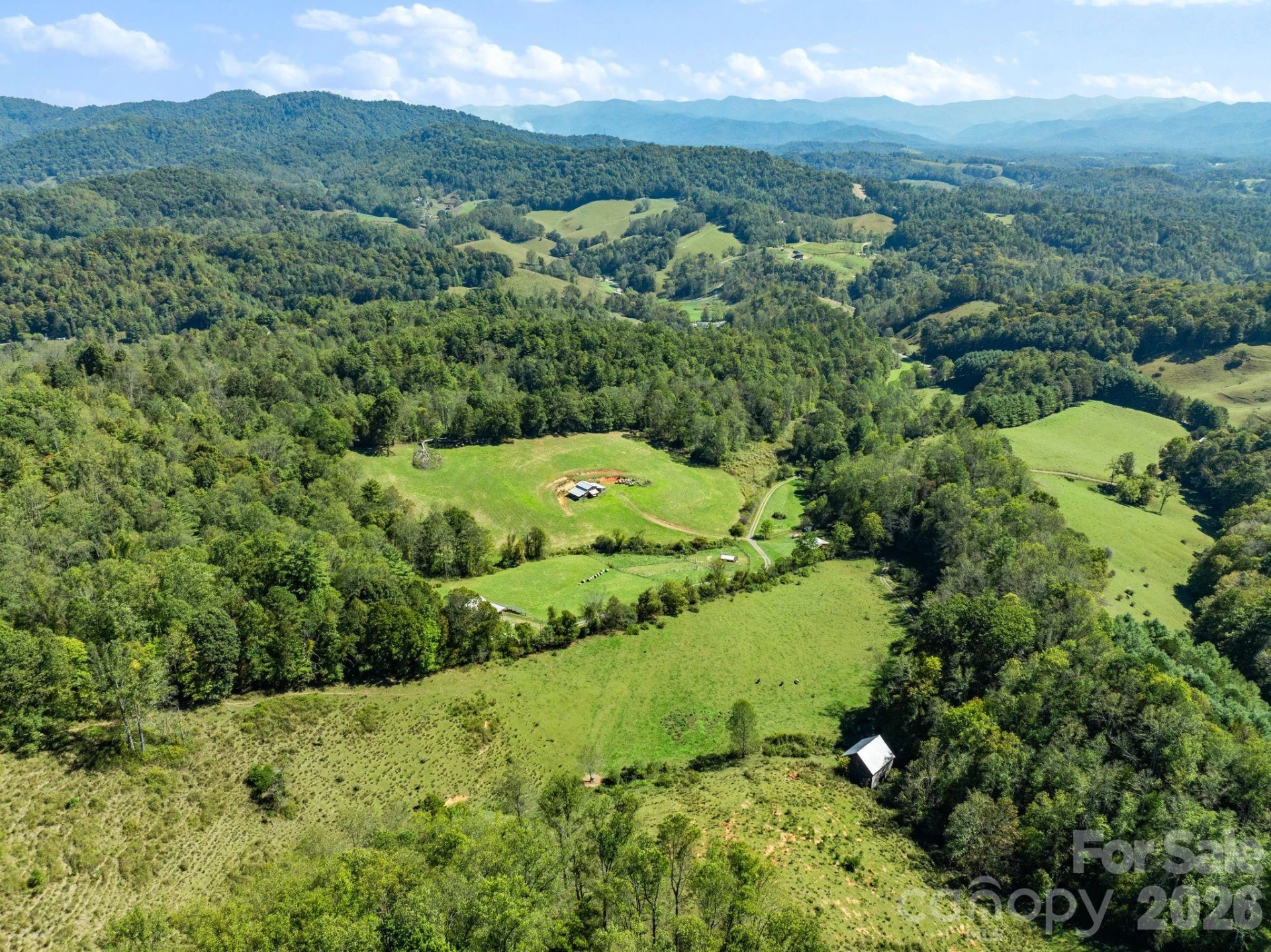 99 Quill Ammons Hollow - Photo 4