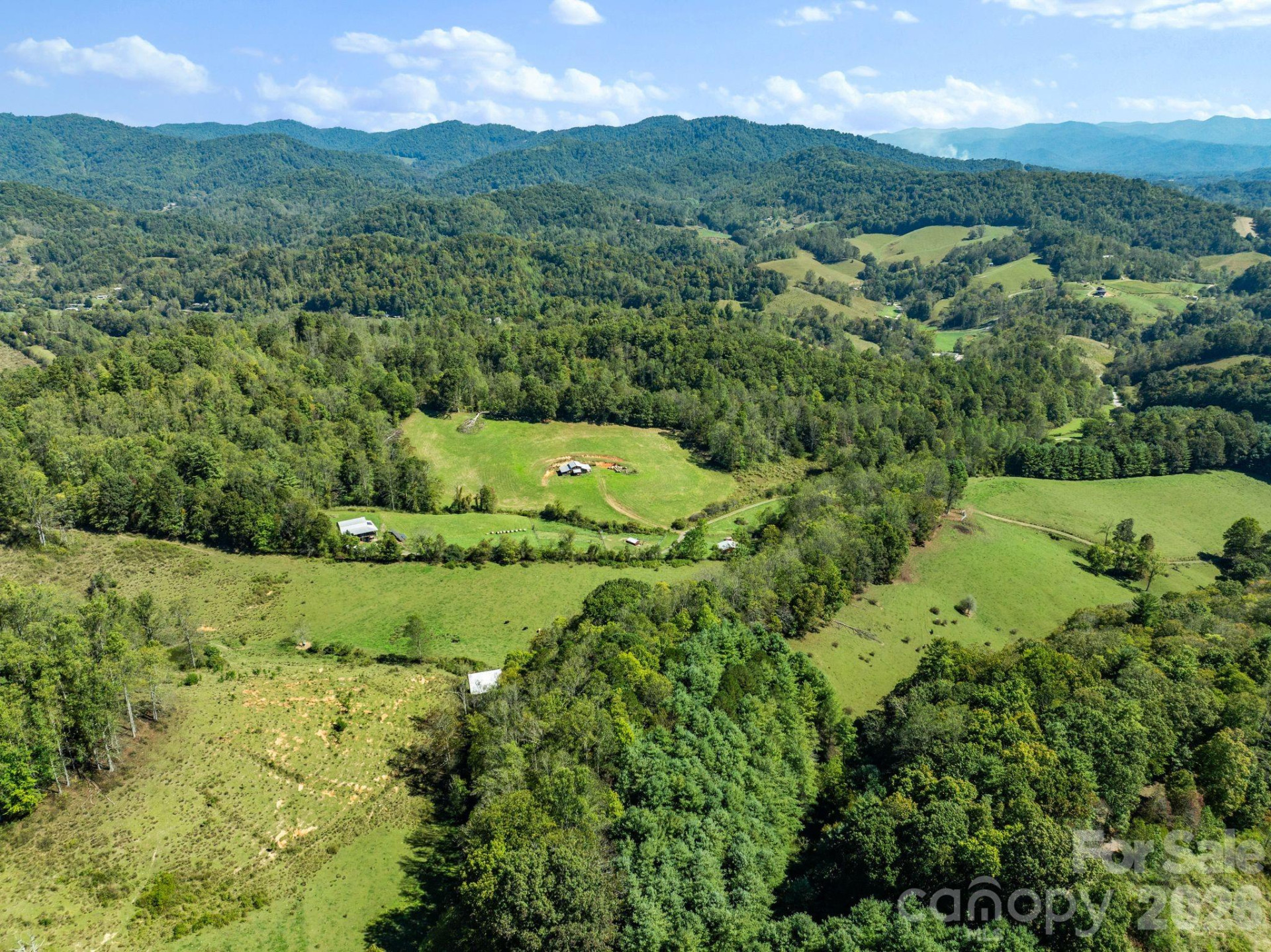 99 Quill Ammons Hollow - Photo 5