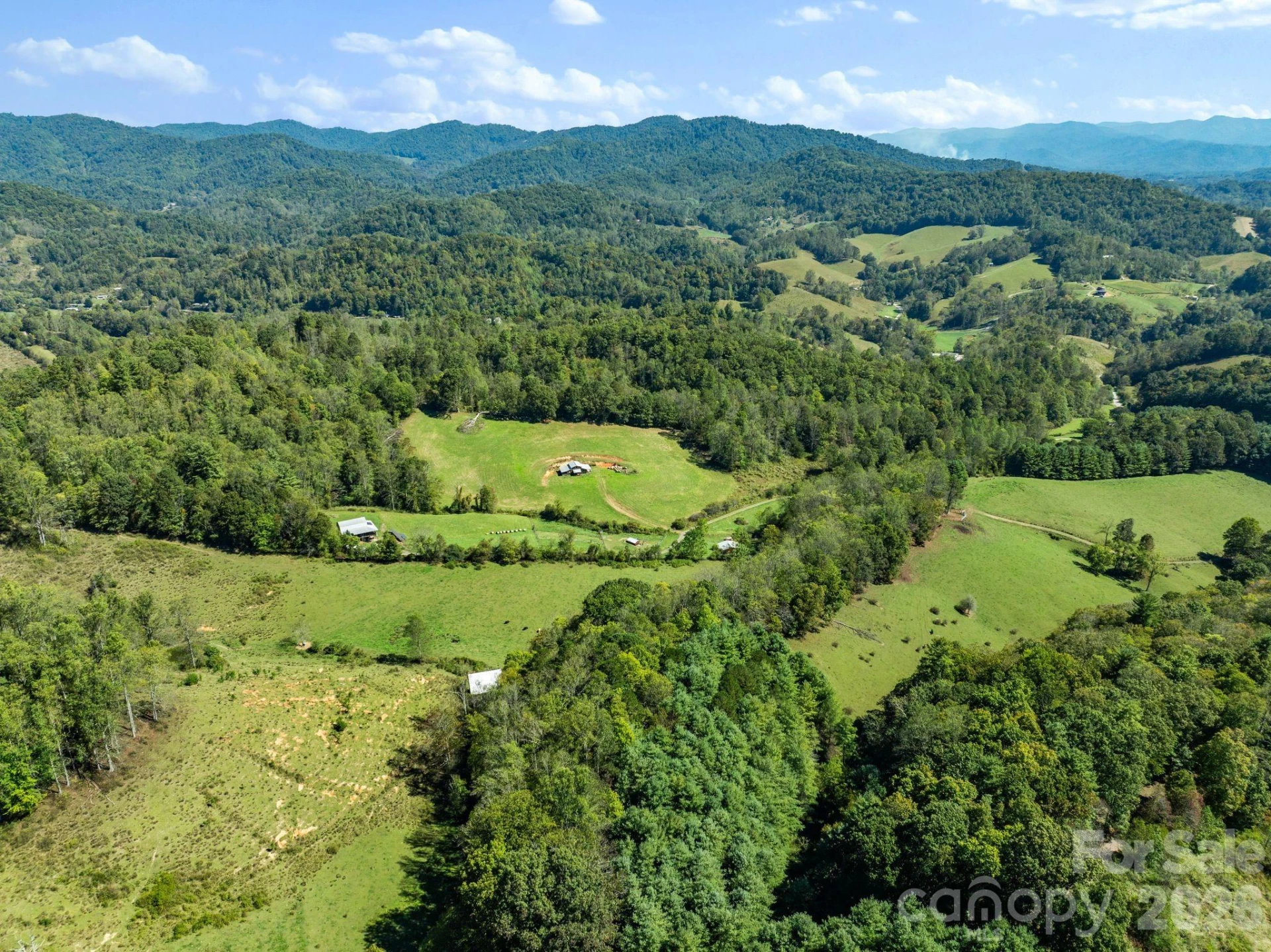 99 Quill Ammons Hollow - Photo 5