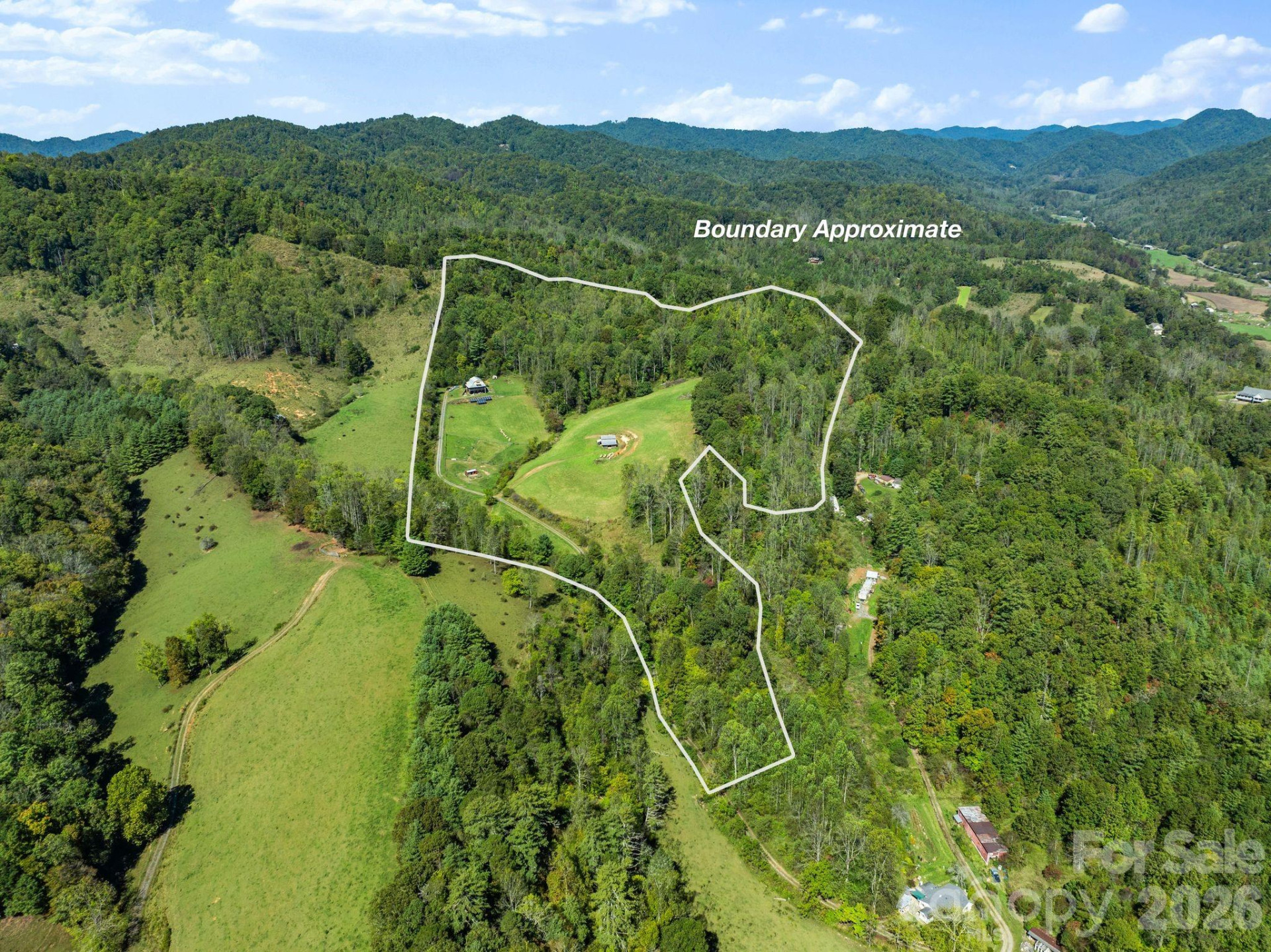 99 Quill Ammons Hollow - Photo 6