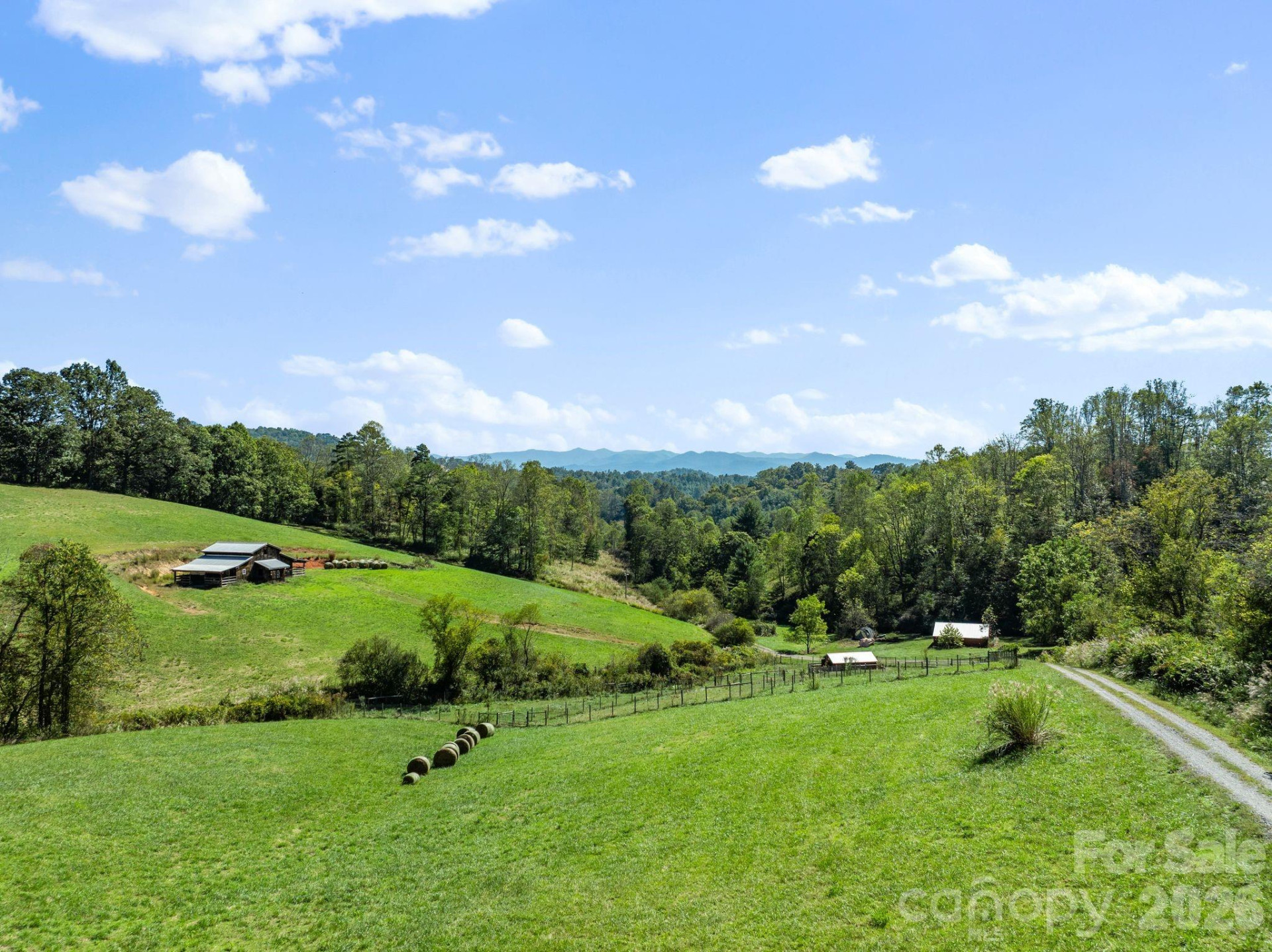 99 Quill Ammons Hollow - Photo 8