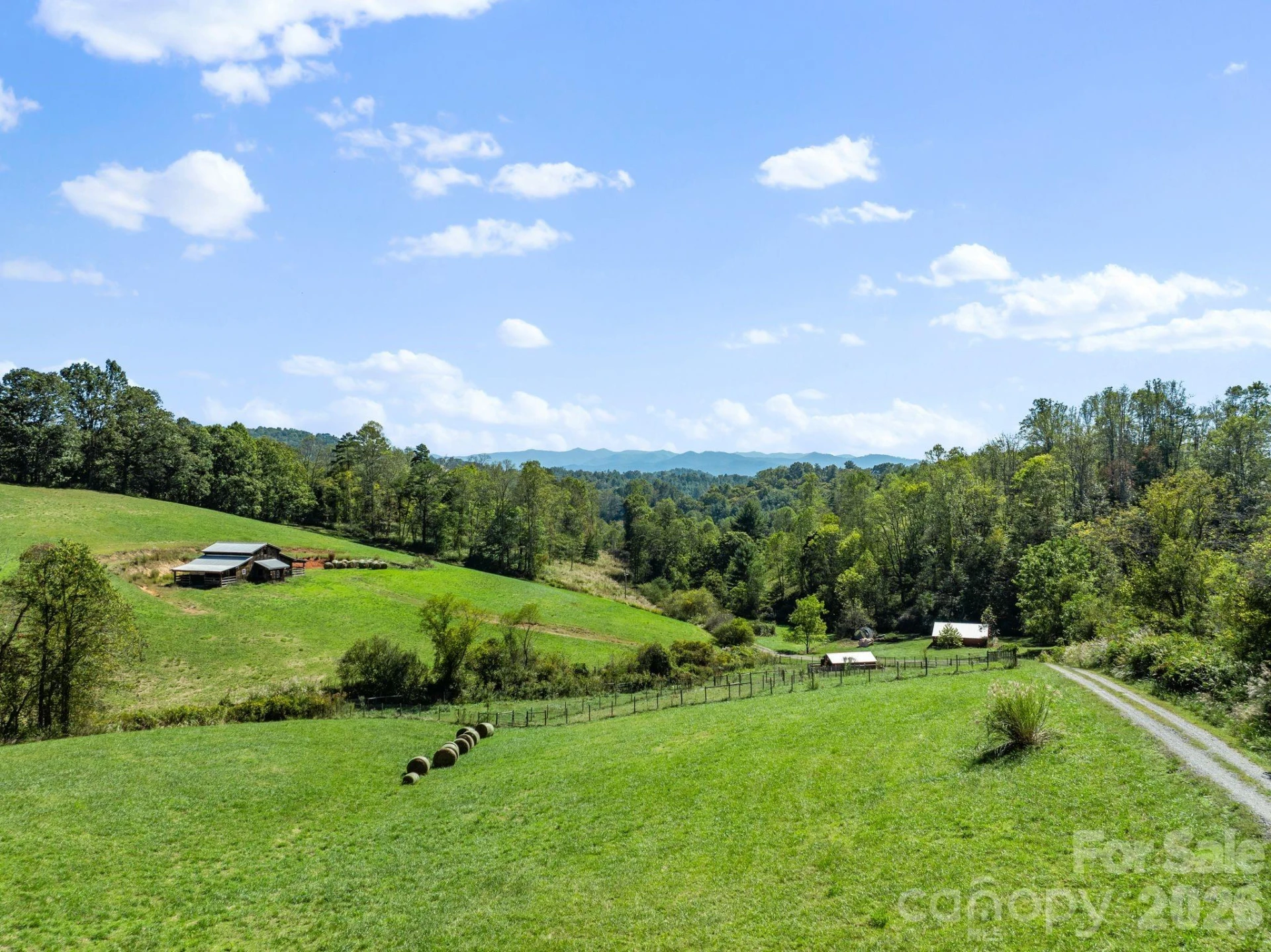 99 Quill Ammons Hollow - Photo 8