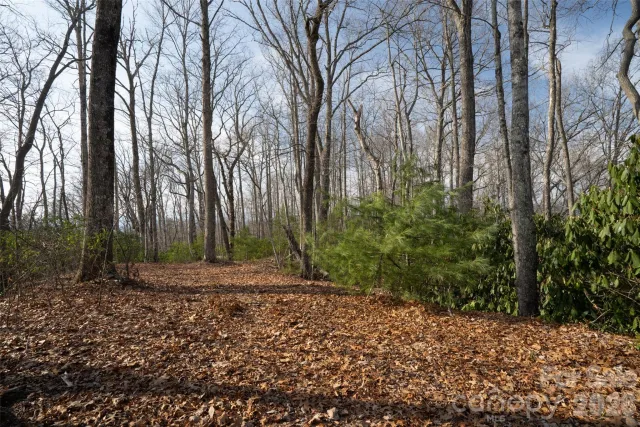 29 Open Ridge Trail, Pisgah Forest, NC, 28768
