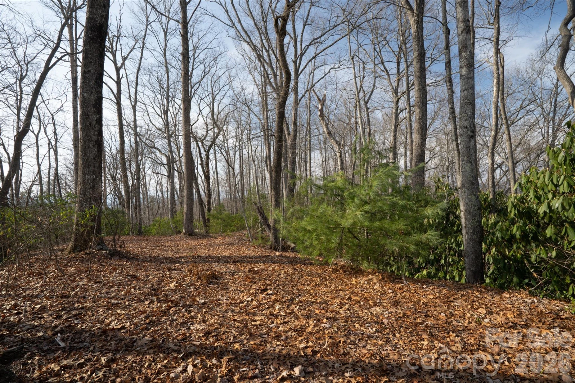 29 Open Ridge Trail