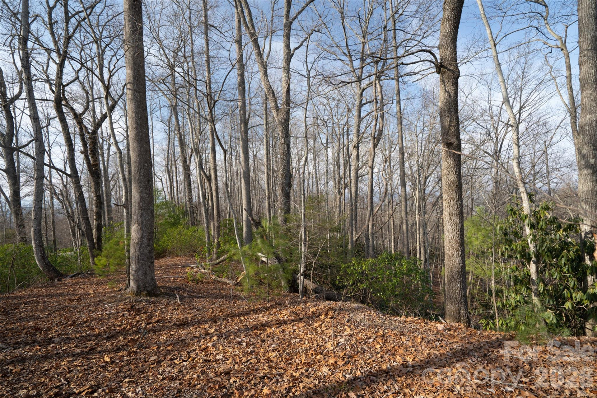29 Open Ridge Trail - Photo 2