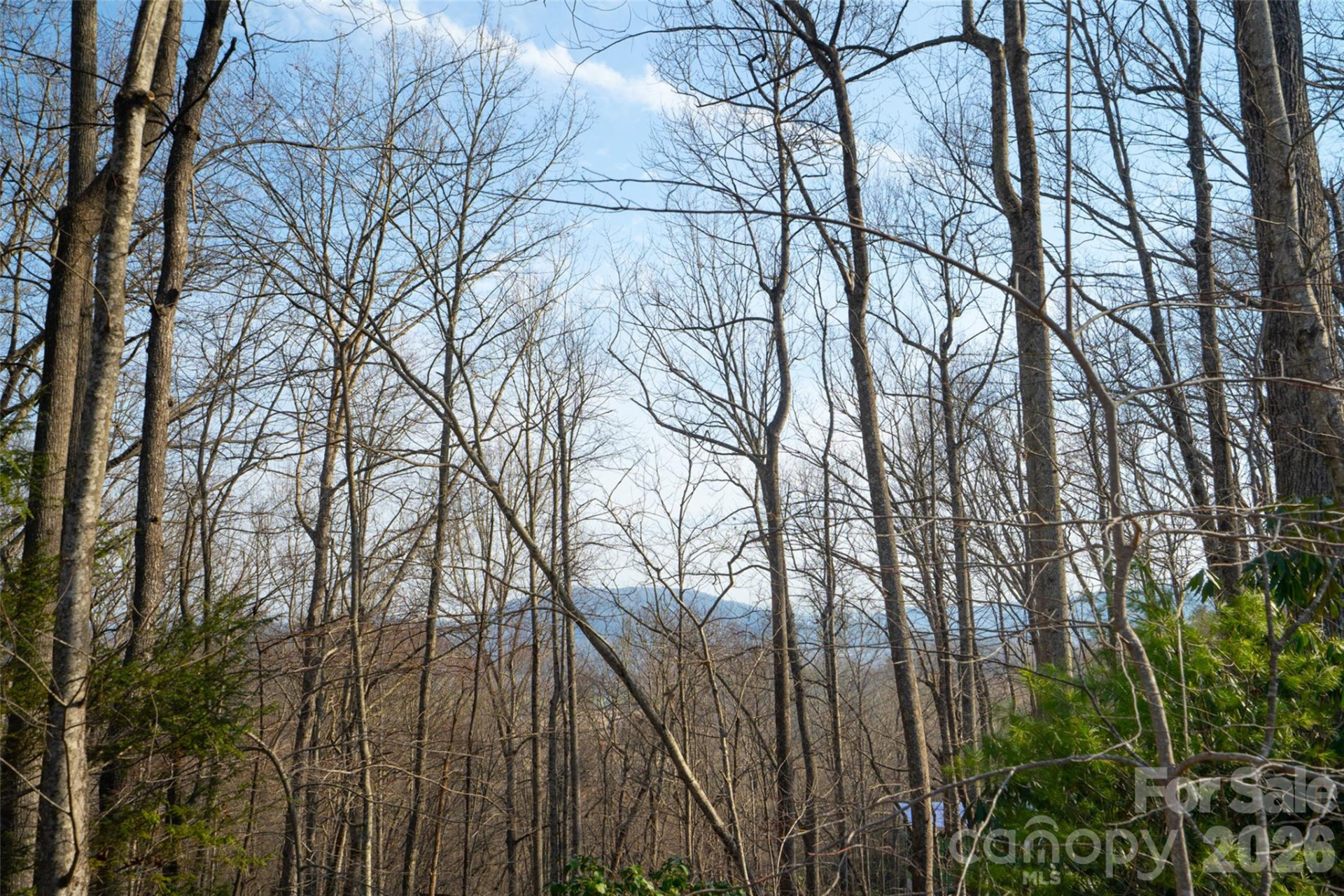 29 Open Ridge Trail - Photo 11