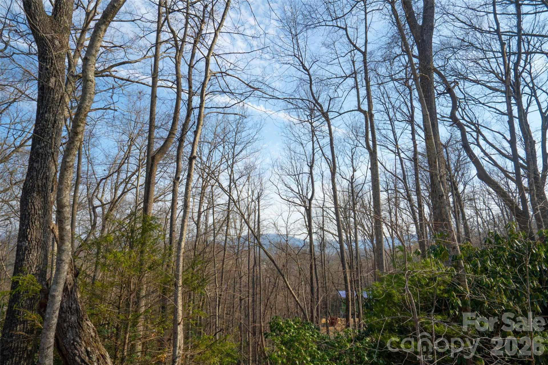 29 Open Ridge Trail - Photo 12