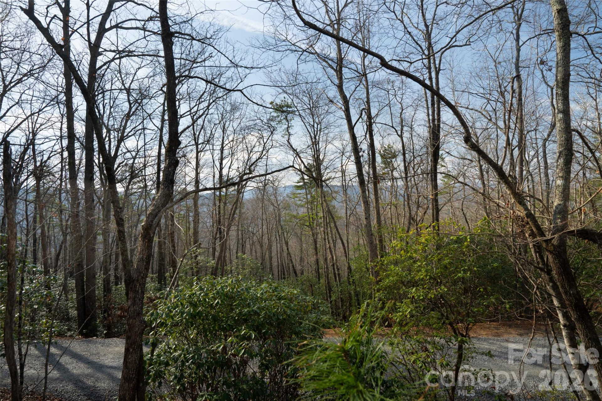 29 Open Ridge Trail - Photo 13