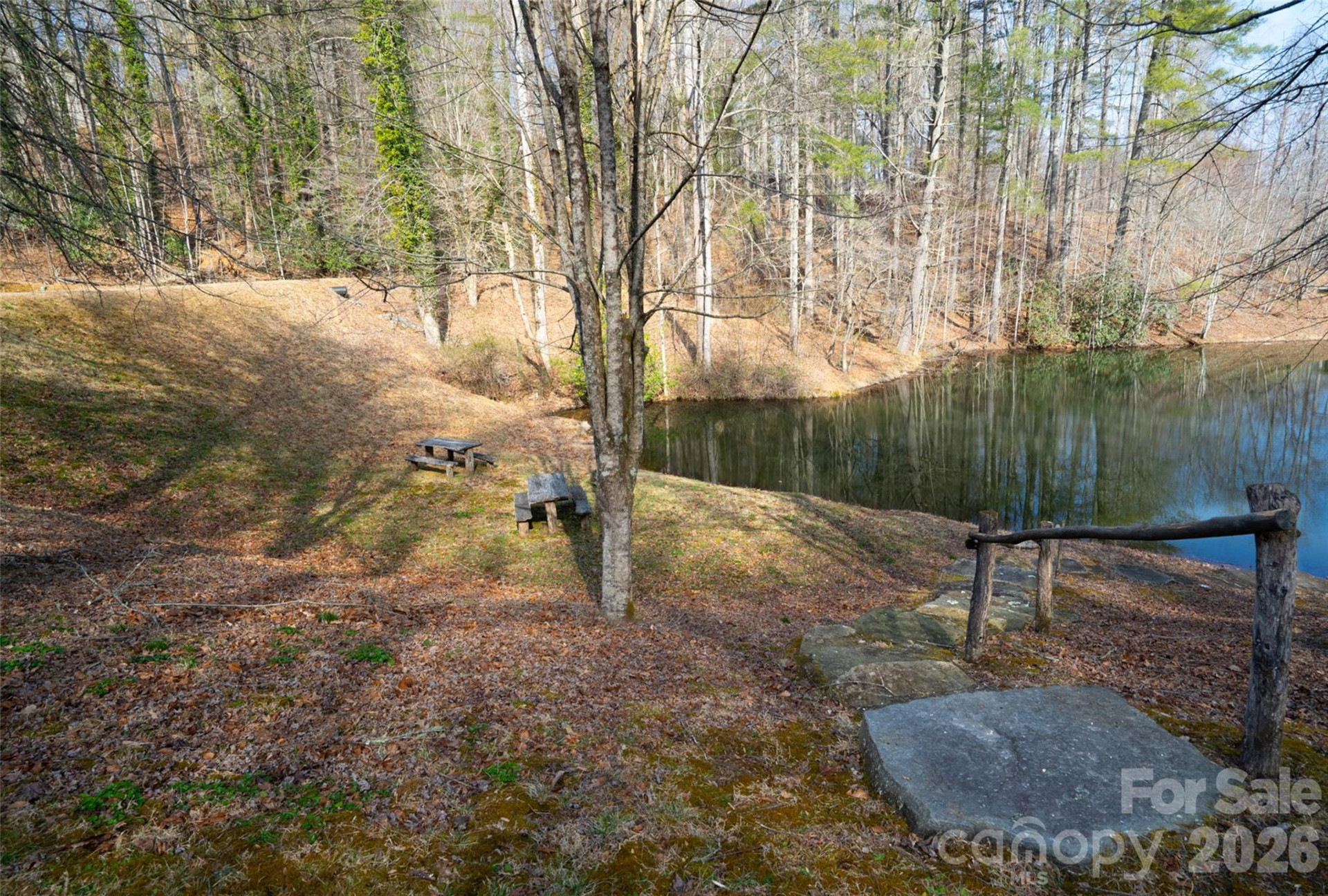 29 Open Ridge Trail - Photo 14