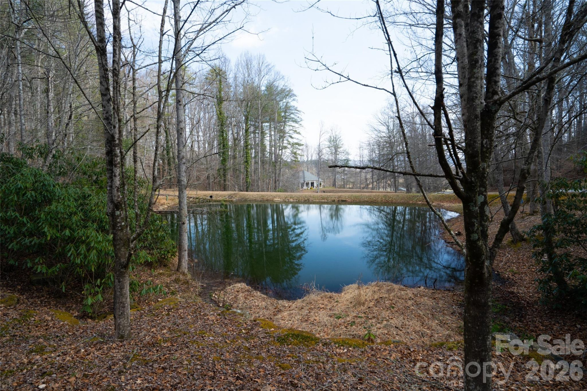 29 Open Ridge Trail - Photo 16