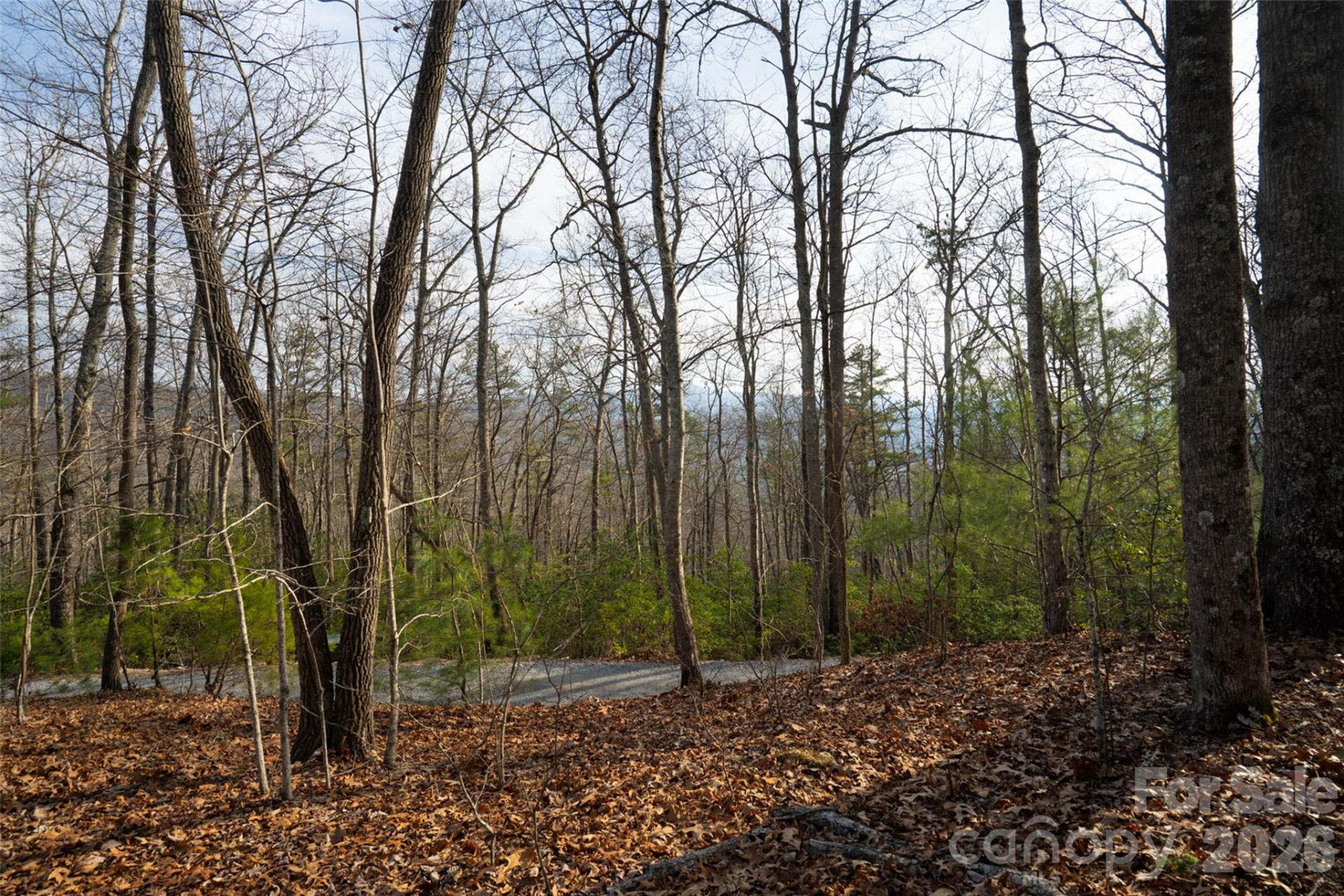 29 Open Ridge Trail - Photo 3