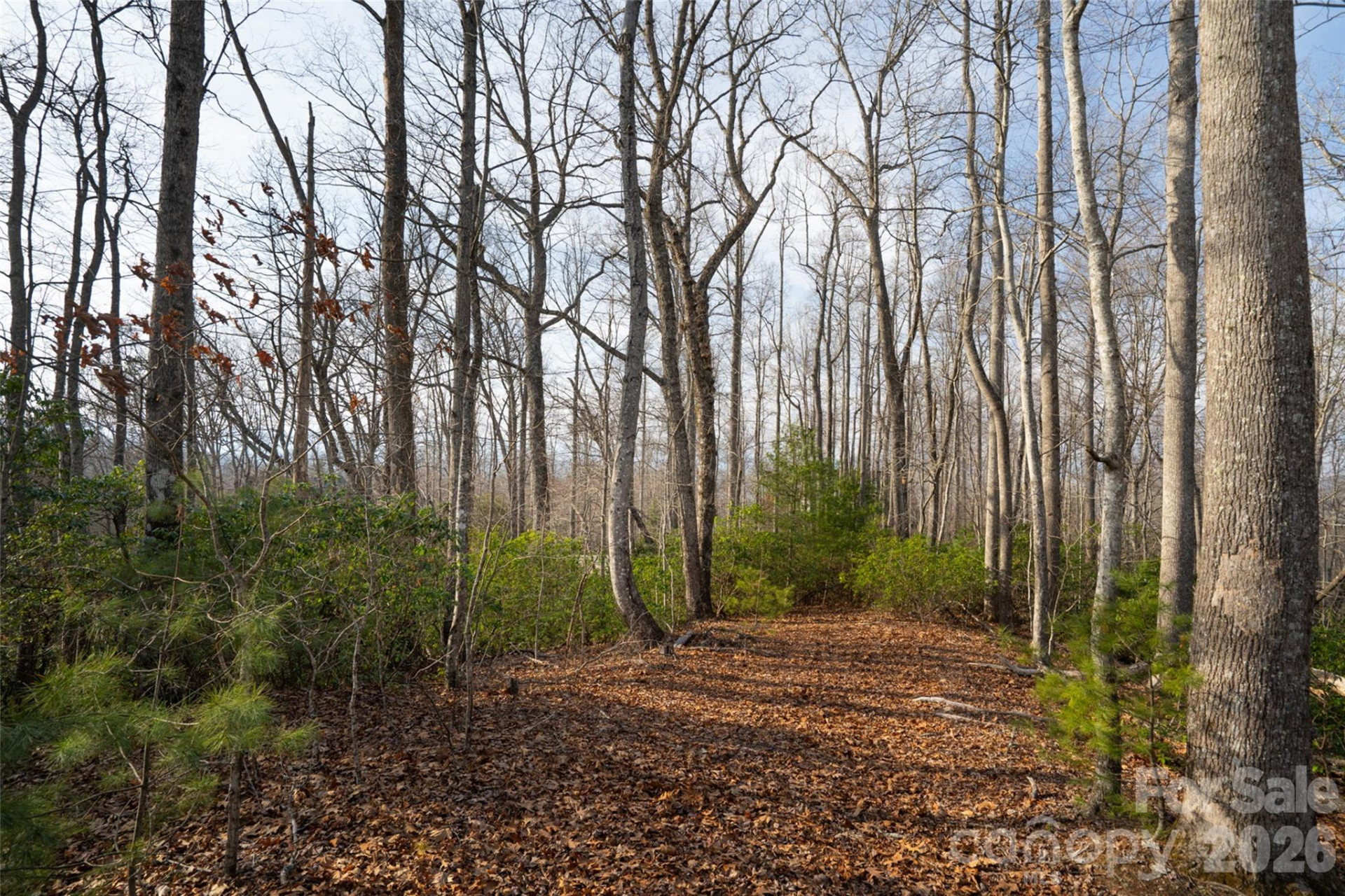 29 Open Ridge Trail - Photo 4
