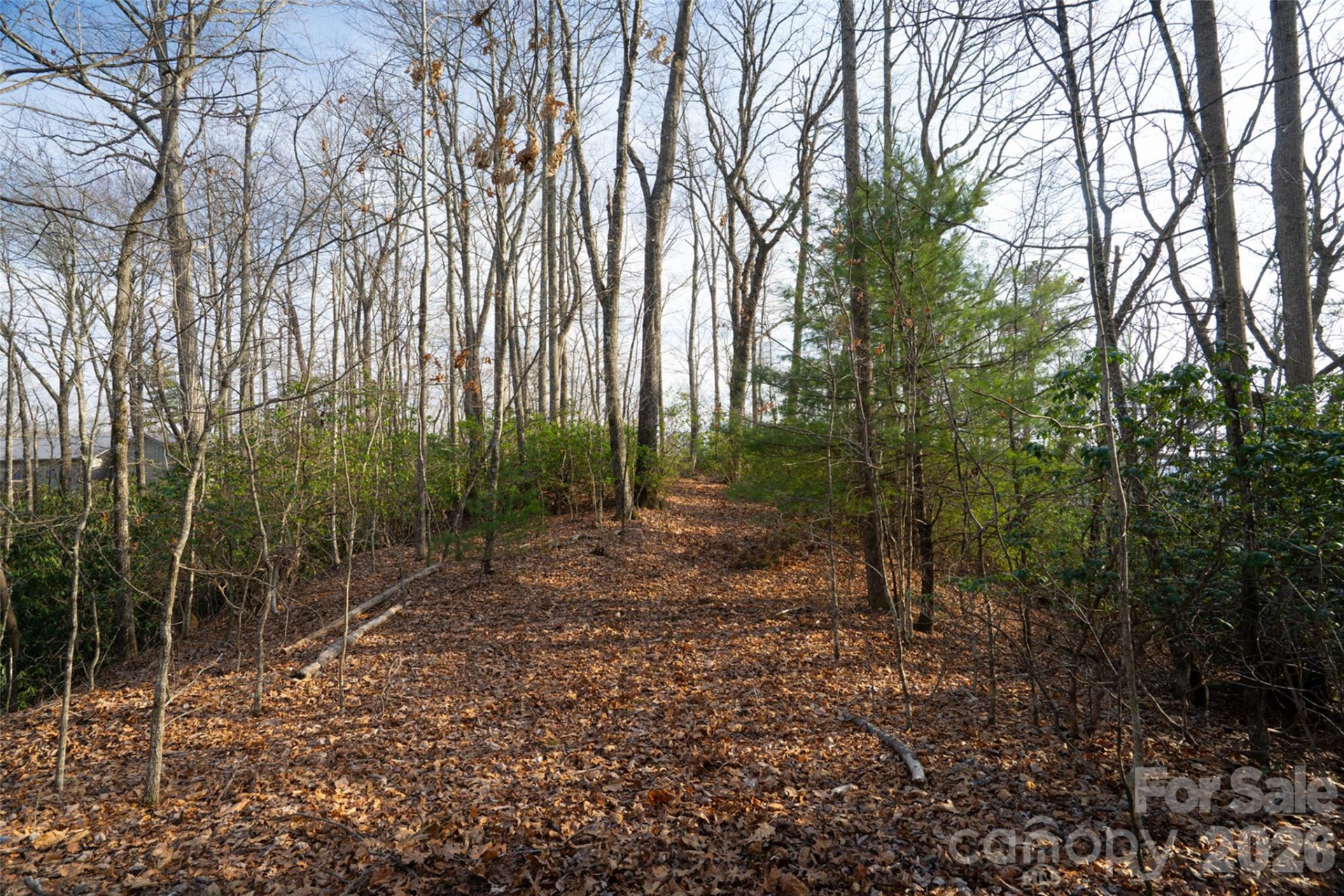 29 Open Ridge Trail - Photo 5