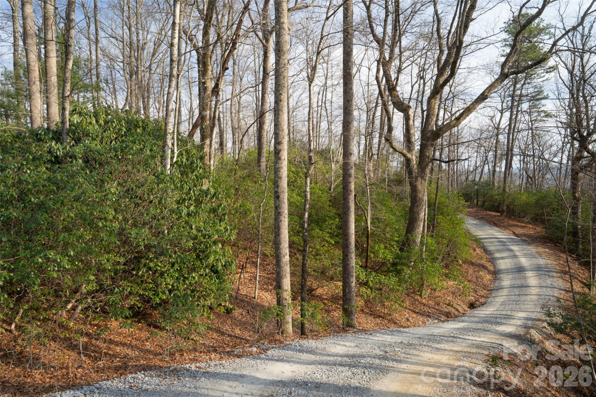 29 Open Ridge Trail - Photo 6