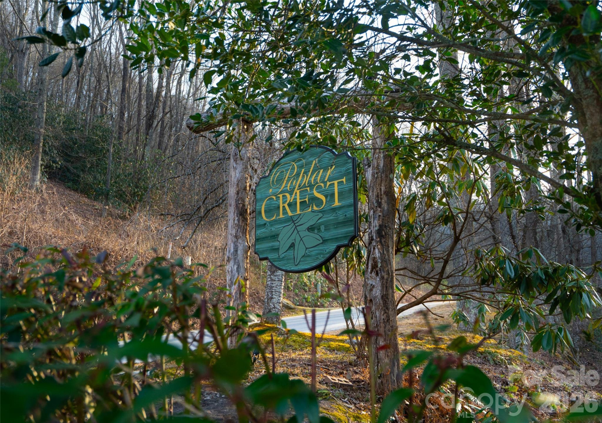 29 Open Ridge Trail - Photo 8