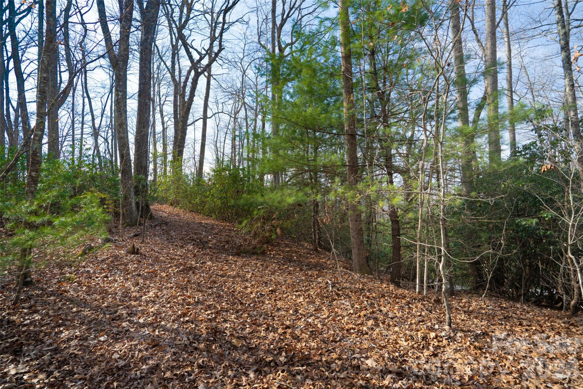 29 Open Ridge Trail - Photo 9