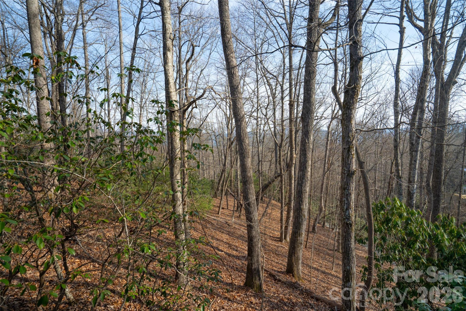 29 Open Ridge Trail - Photo 10