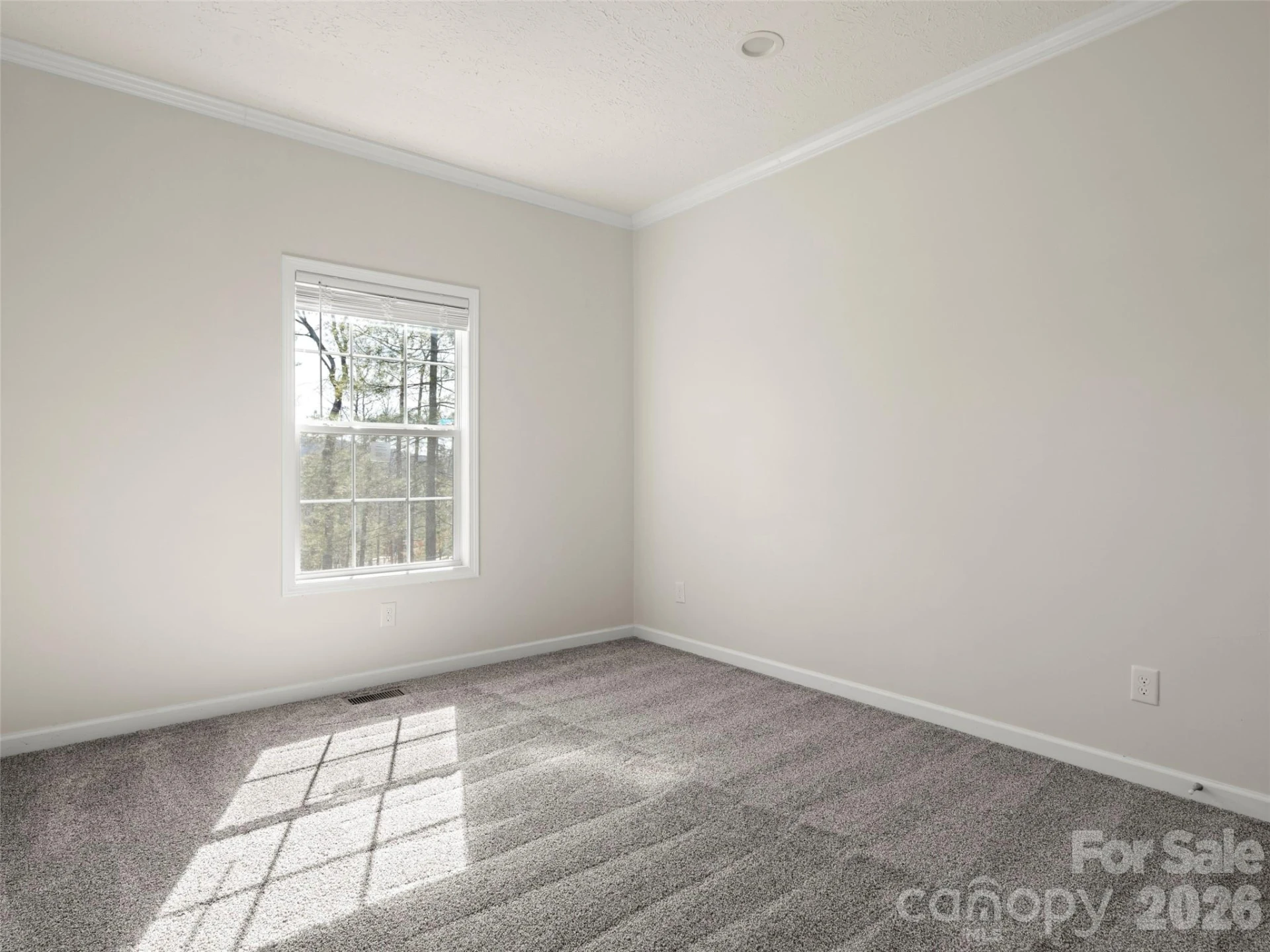 18 Eagle Drive - Photo 20