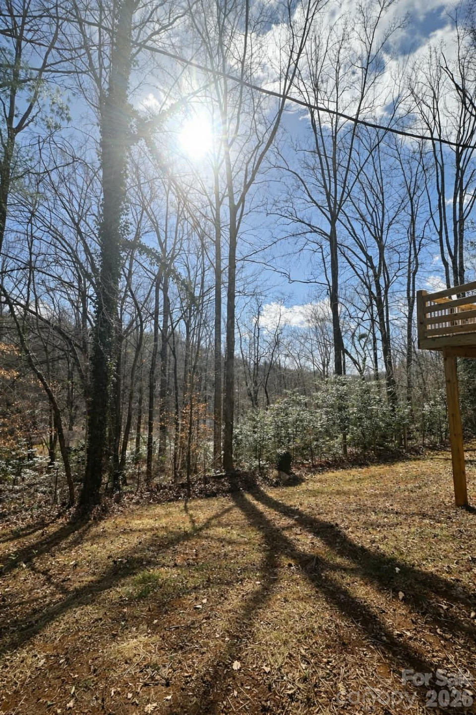 295 Moore Drive - Photo 3