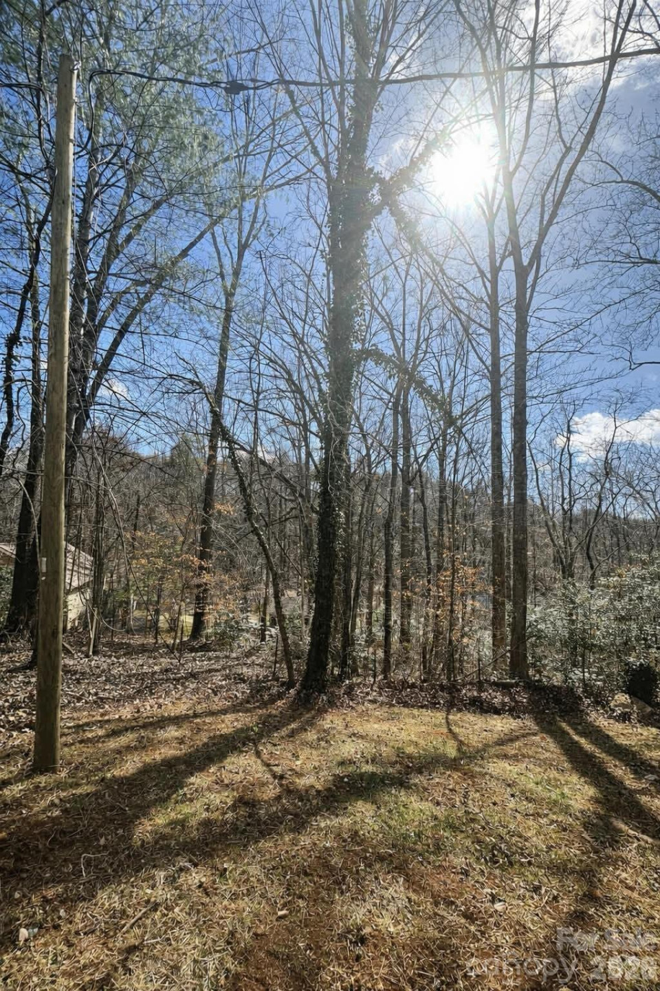 295 Moore Drive - Photo 21