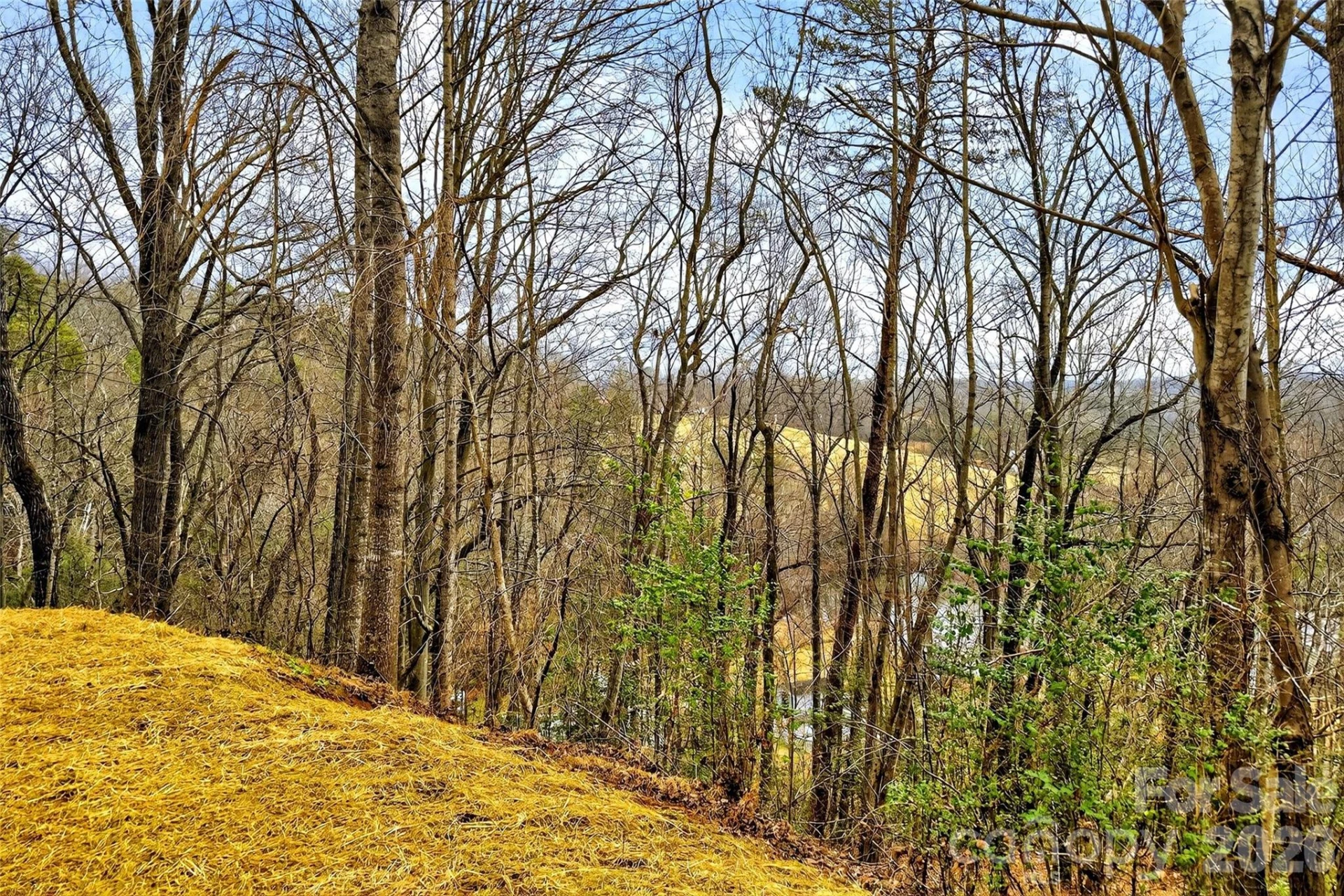 88 Windy Hill Drive - Photo 42