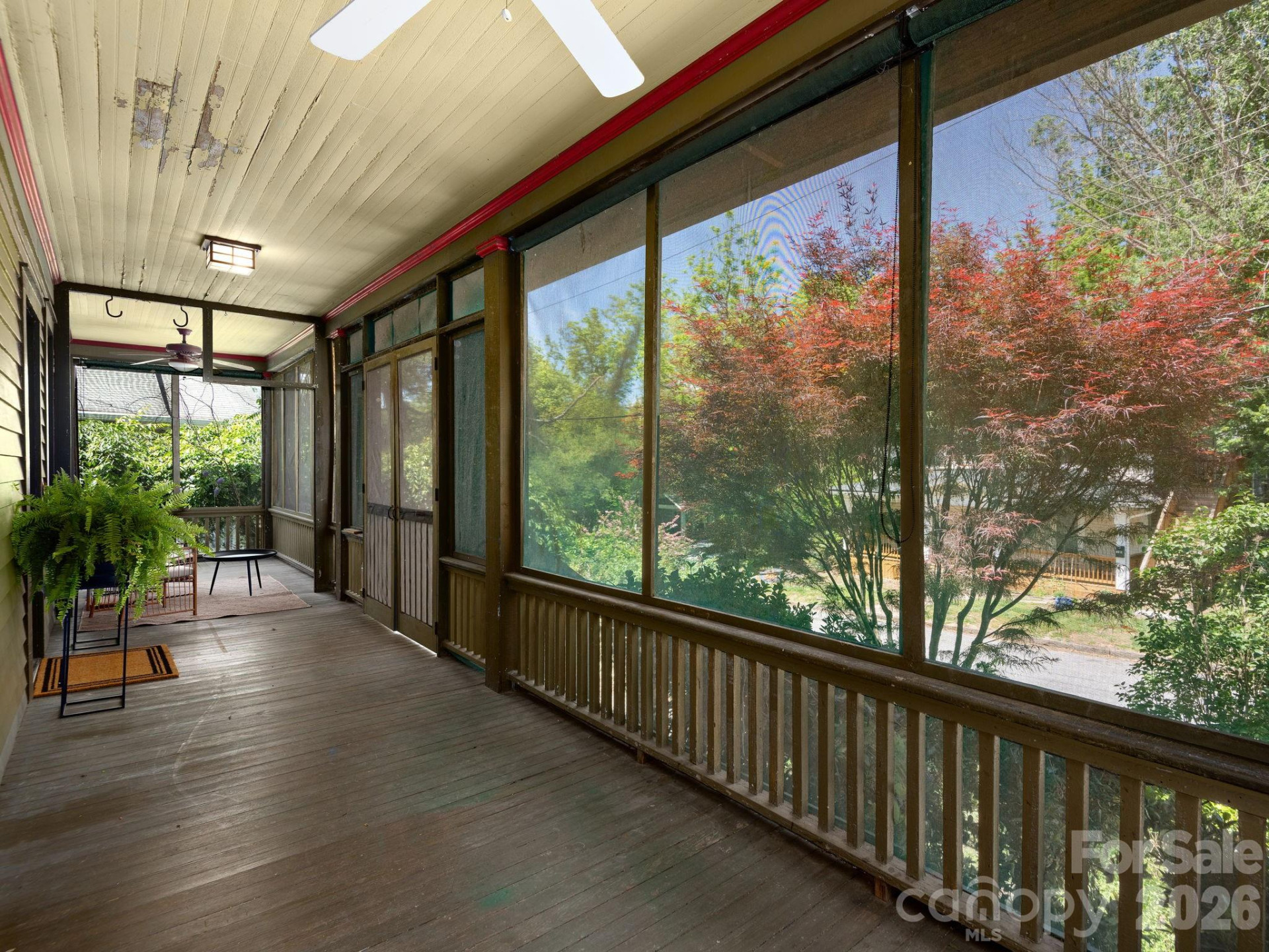 15 Hillside Street - Photo 6