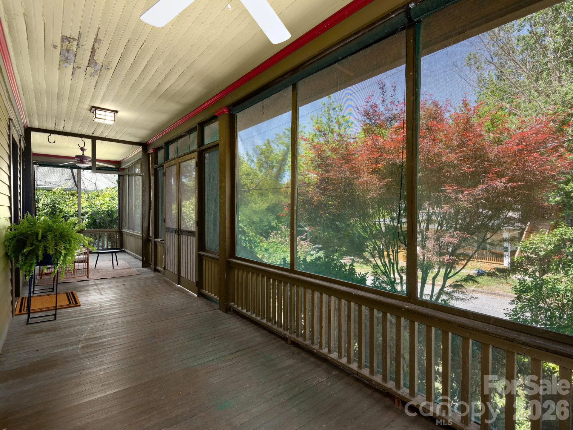 15 Hillside Street - Photo 6