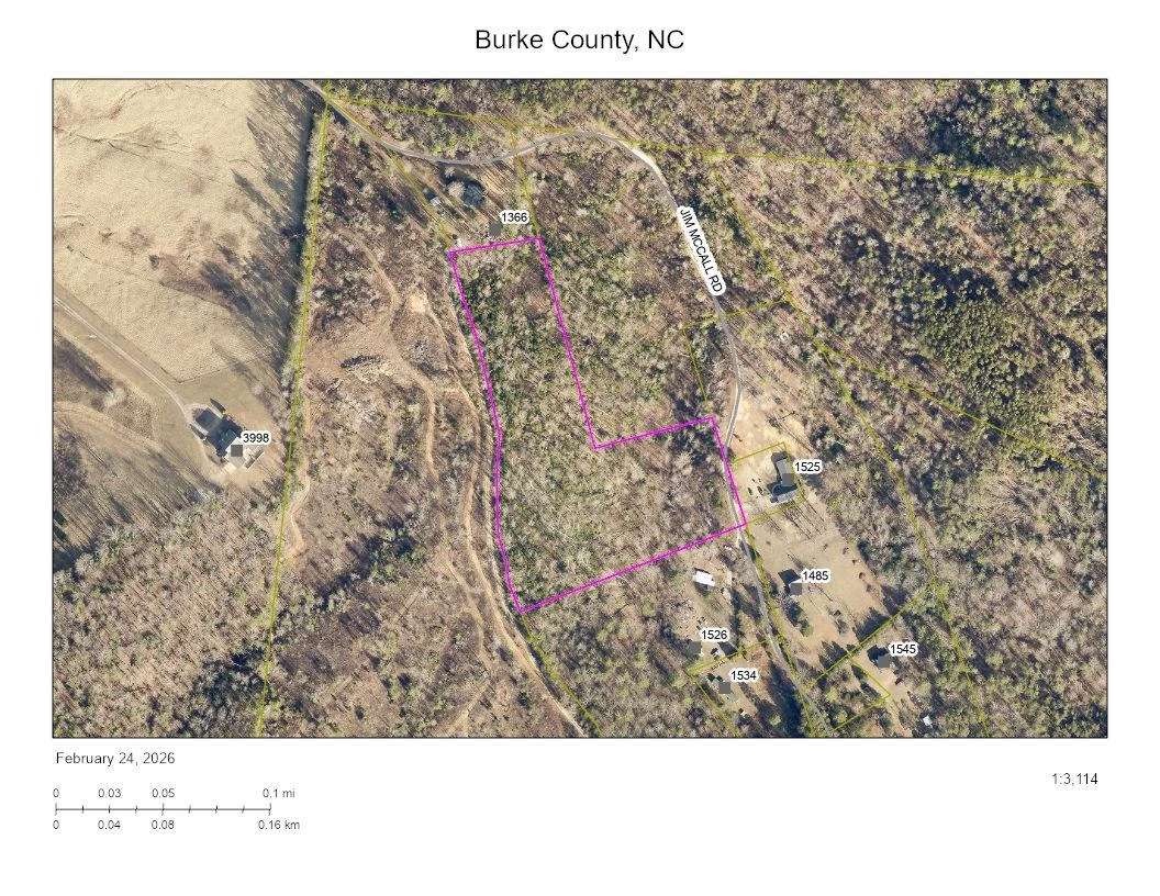 0 Jim McCall Road - Photo 3
