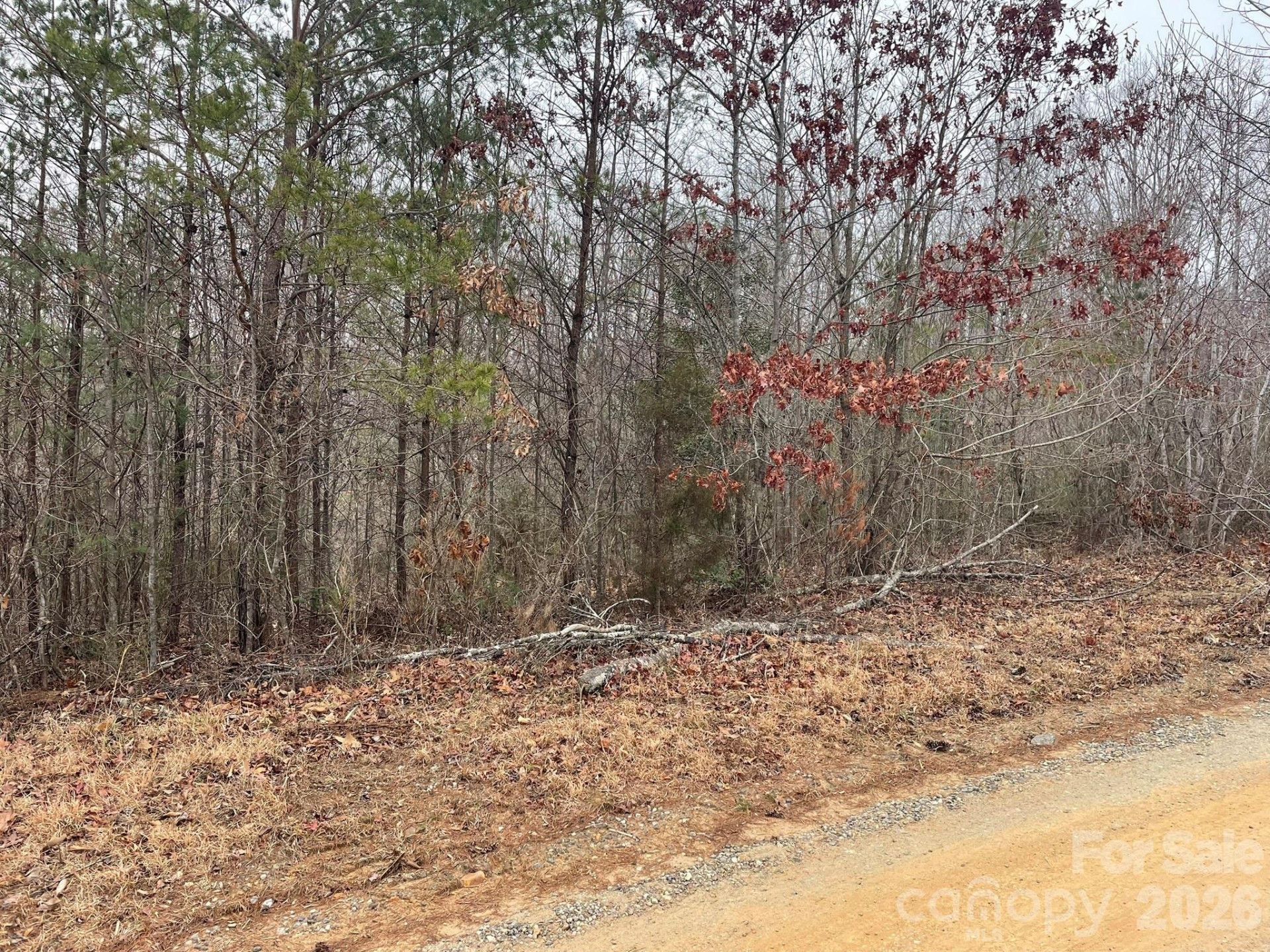 0 Jim McCall Road - Photo 4