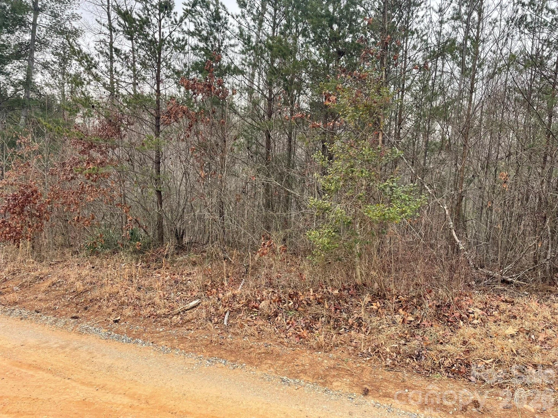 0 Jim McCall Road - Photo 5