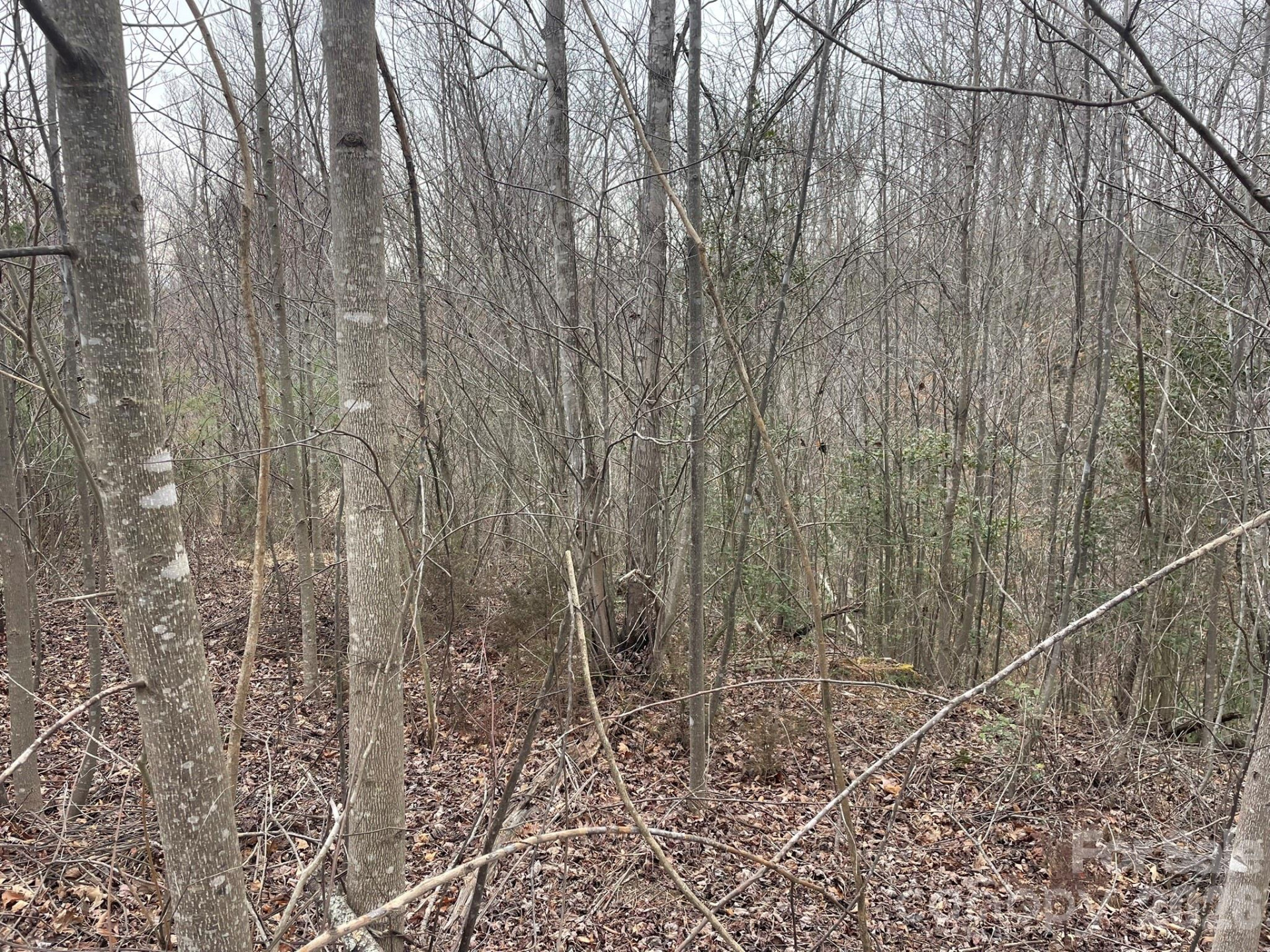 0 Jim McCall Road - Photo 6