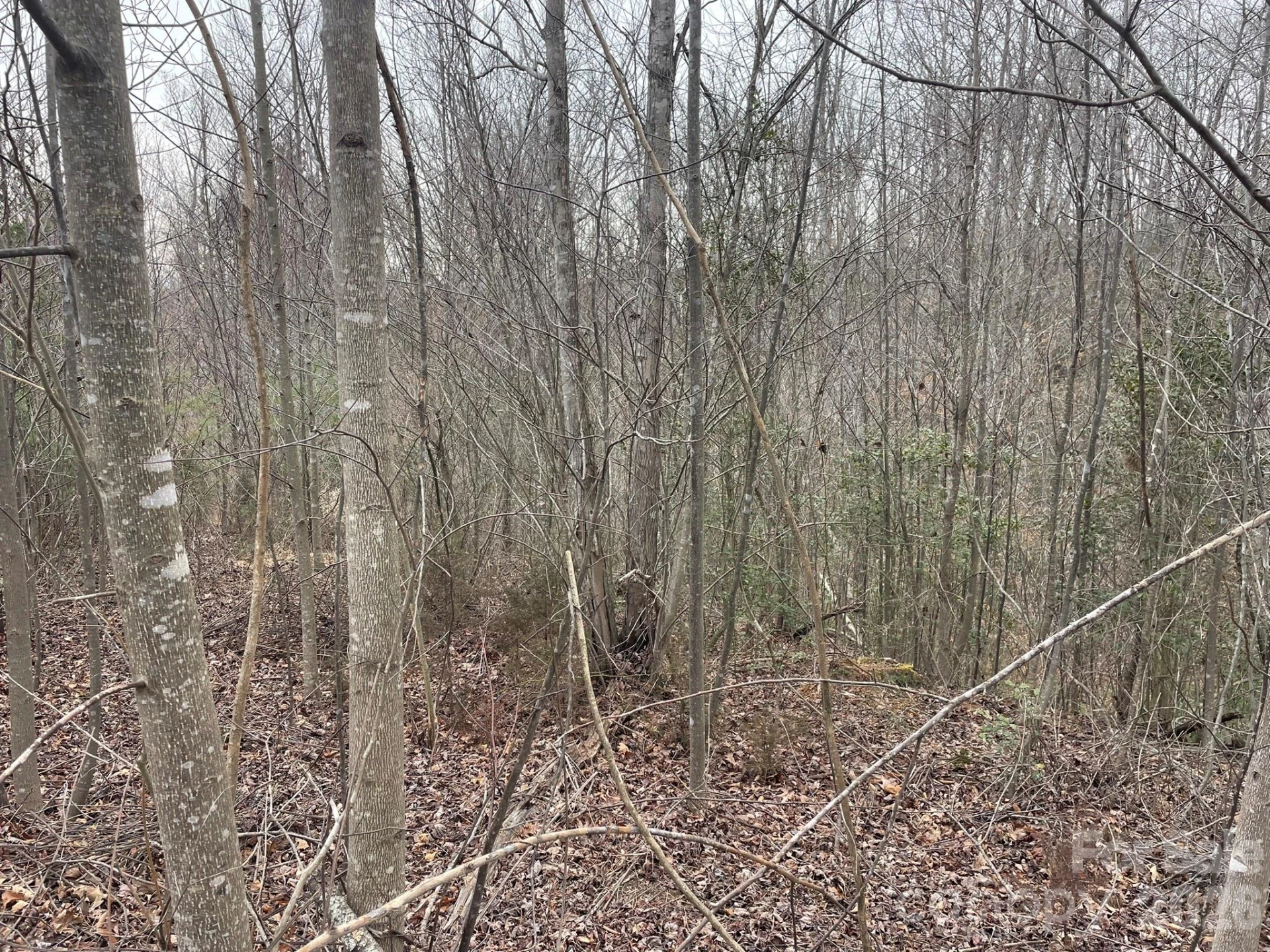 0 Jim McCall Road - Photo 6