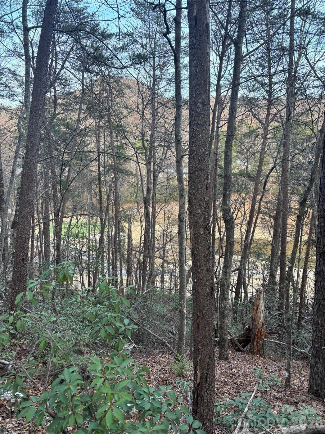 Lot 20 Nicklaus Lane