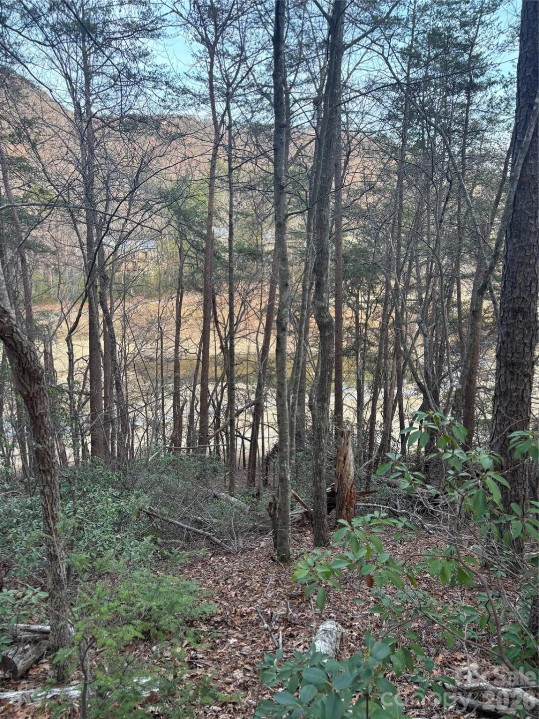Lot 20 Nicklaus Lane - Photo 3