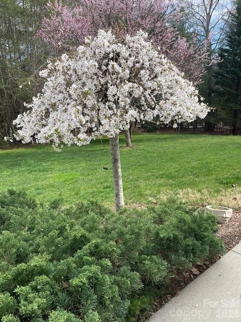 21 Kanuga Forest Drive - Photo 46